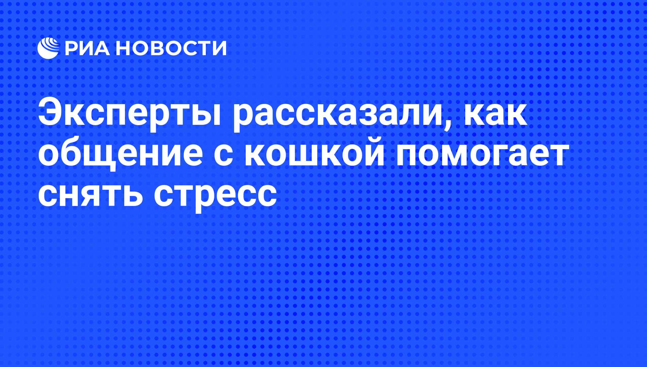 Эксперты рассказали, как общение с кошкой помогает снять стресс - РИА  Новости, 01.03.2019