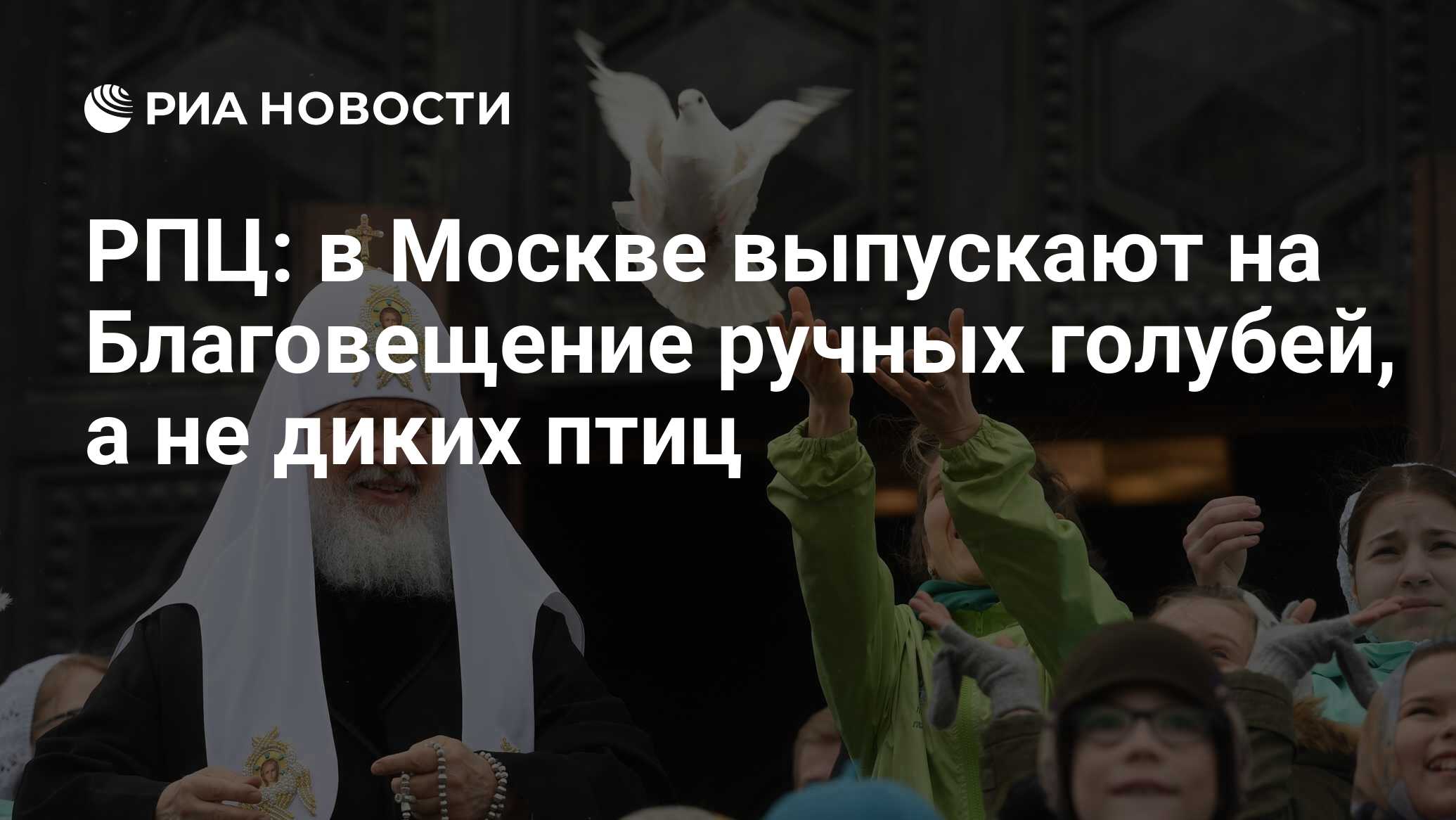 Если на благовещение идет снег. Птички на Благовещение. Благовещение выпускают птиц. Каких птиц выпускают на Благовещение. Объяснение традиции выпускать птиц на Благовещение.