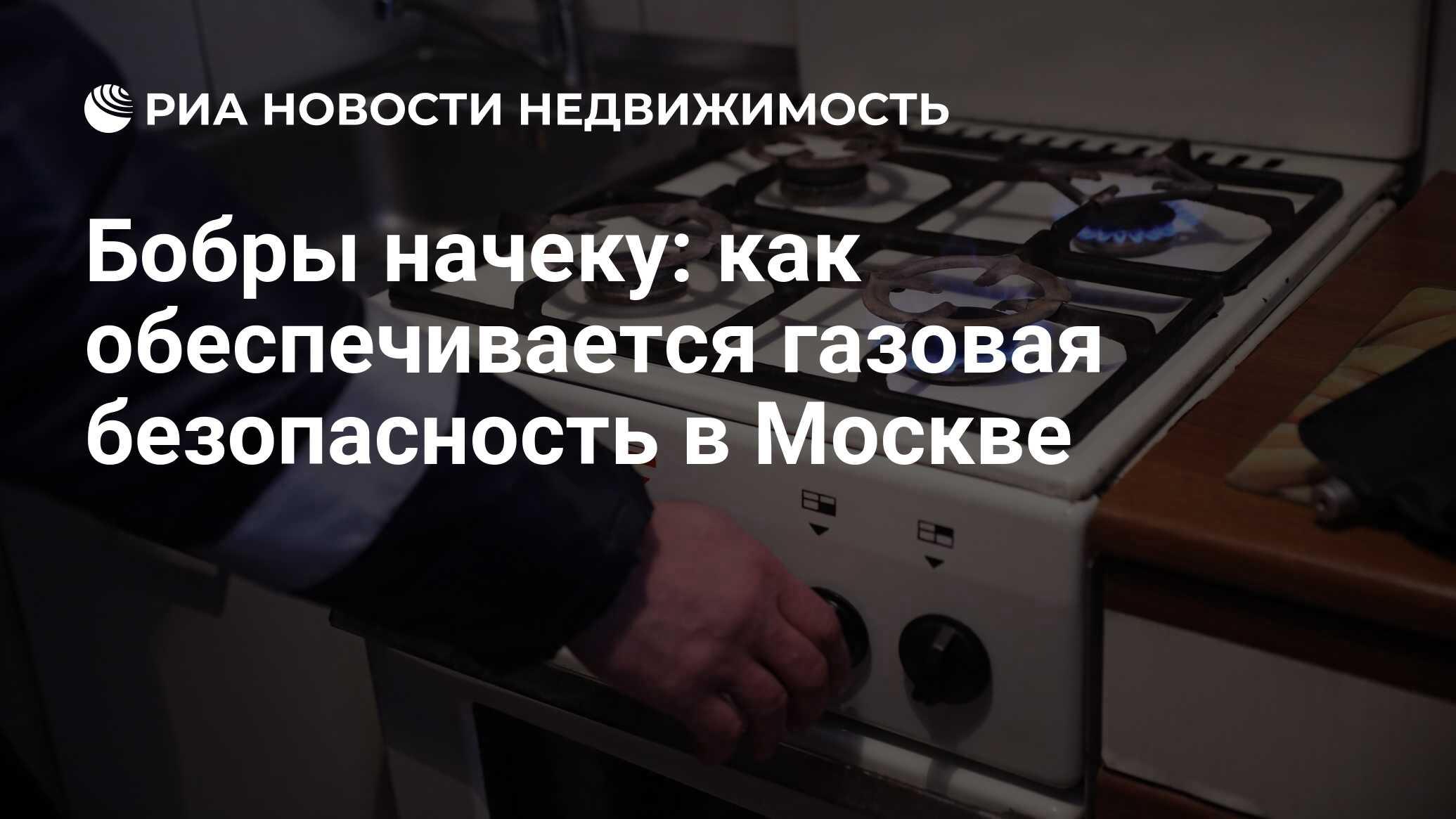 Бобры начеку: как обеспечивается газовая безопасность в Москве -  Недвижимость РИА Новости, 20.05.2019