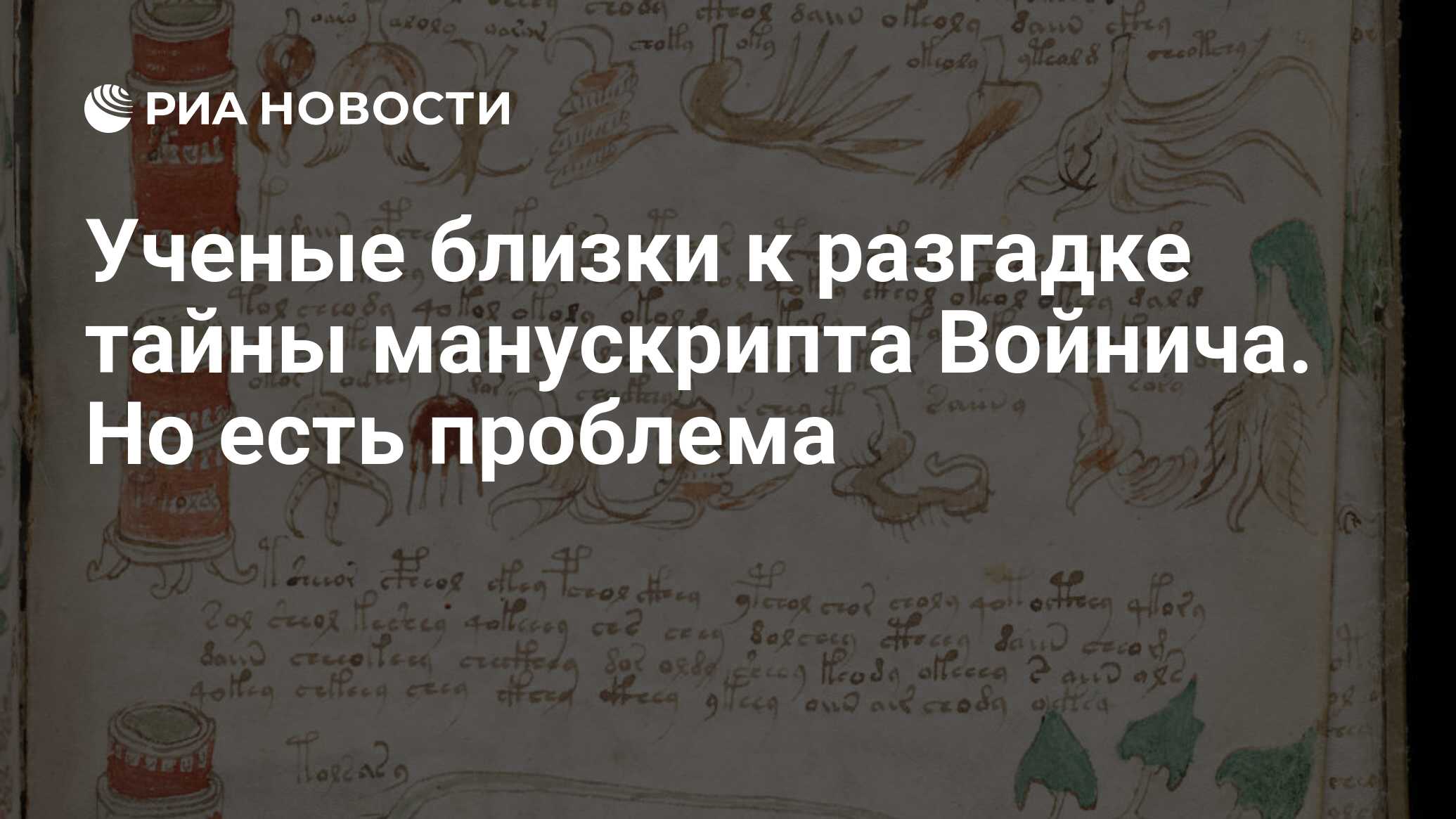 Ученые близки к разгадке тайны манускрипта Войнича. Но есть проблема - РИА  Новости, 01.06.2019