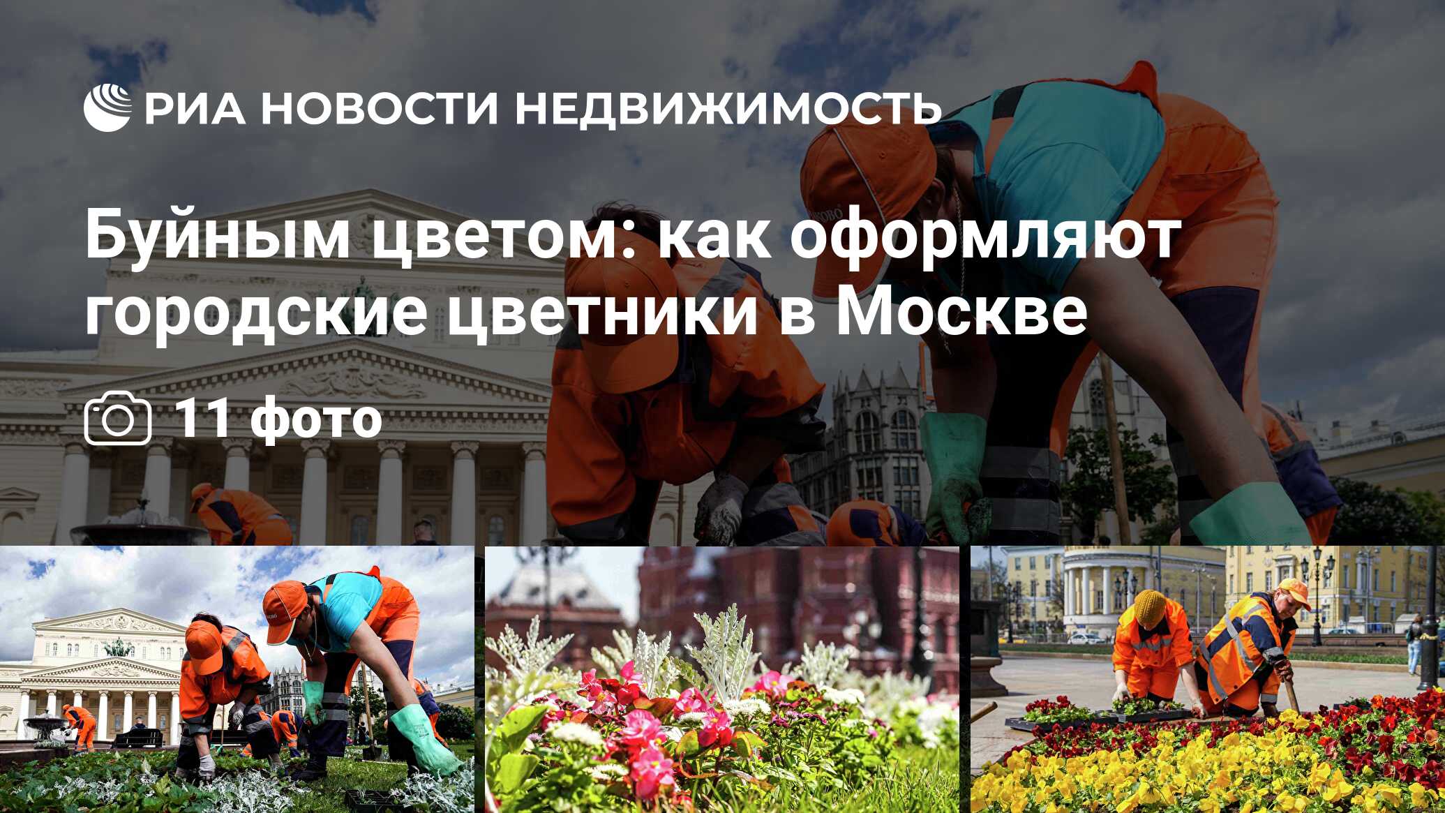 Буйным цветом: как оформляют городские цветники в Москве - Недвижимость РИА  Новости, 04.06.2019