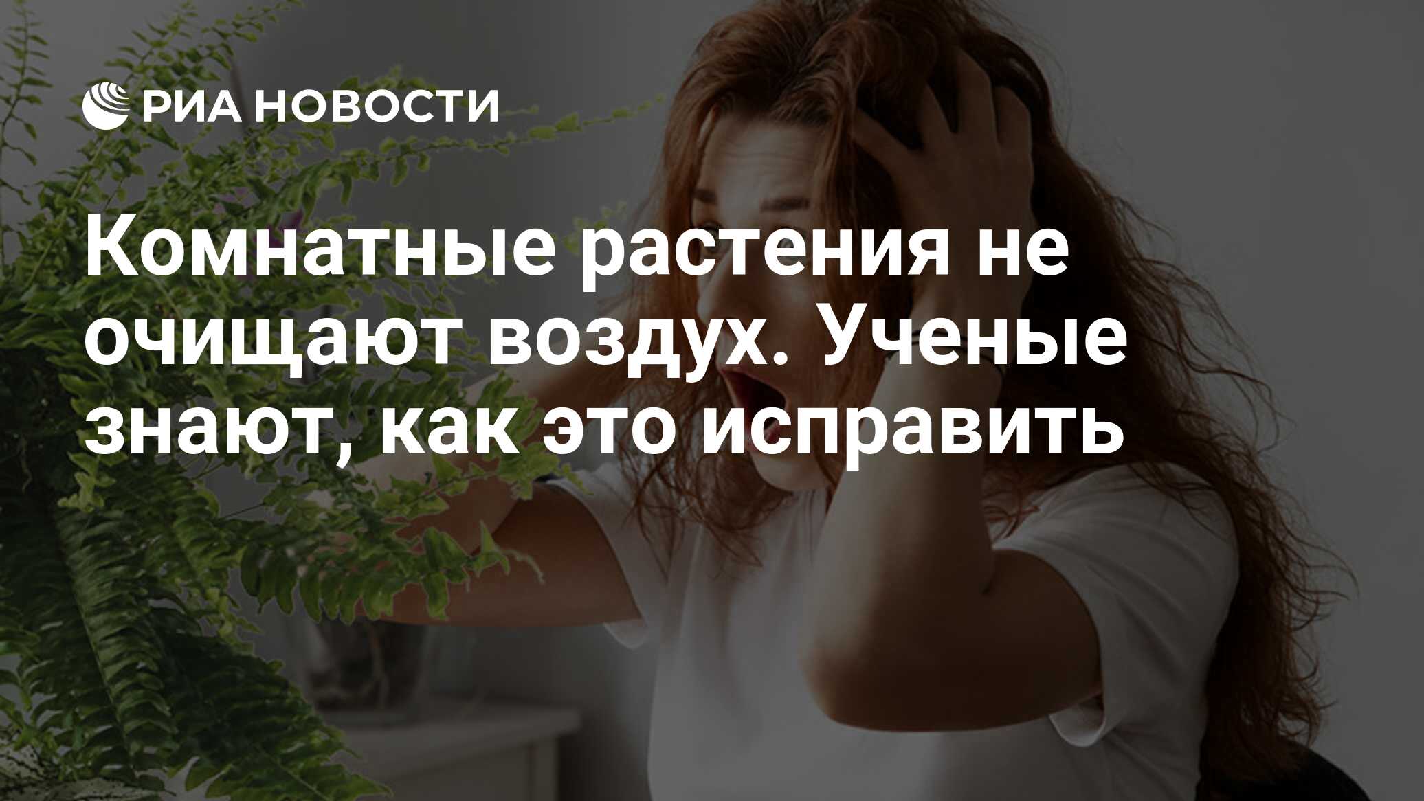 Комнатные растения не очищают воздух. Ученые знают, как это исправить - РИА  Новости, 12.06.2019