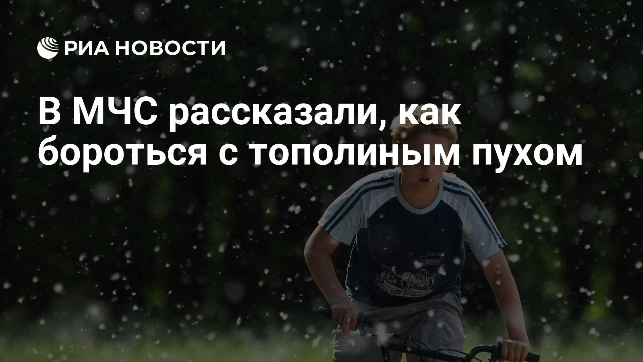 В МЧС рассказали, как бороться с тополиным пухом - РИА Новости, 03.03.2020