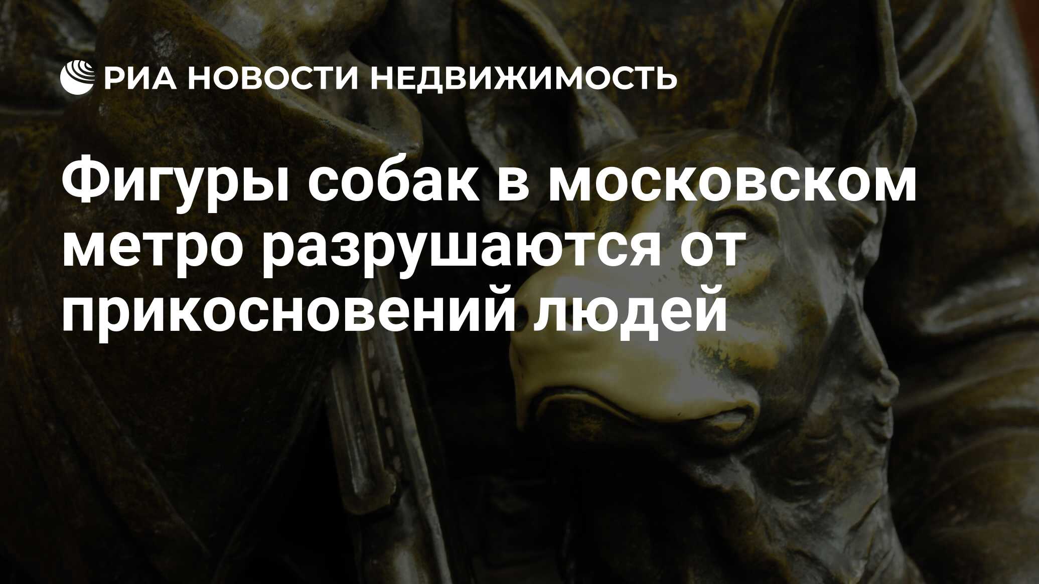 Фигуры собак в московском метро разрушаются от прикосновений людей -  Недвижимость РИА Новости, 18.06.2019