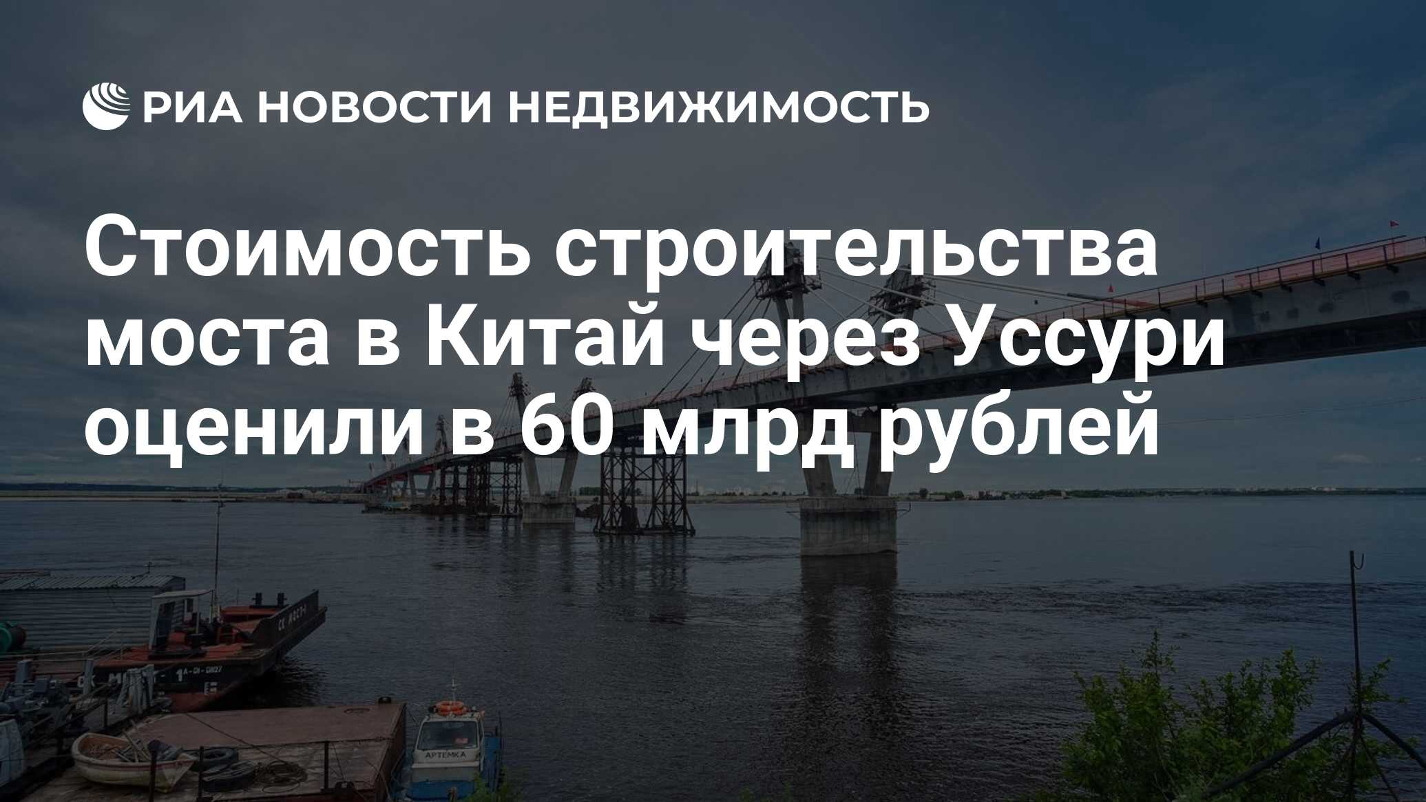 Стоимость строительства моста в Китай через Уссури оценили в 60 млрд рублей  - Недвижимость РИА Новости, 03.03.2020