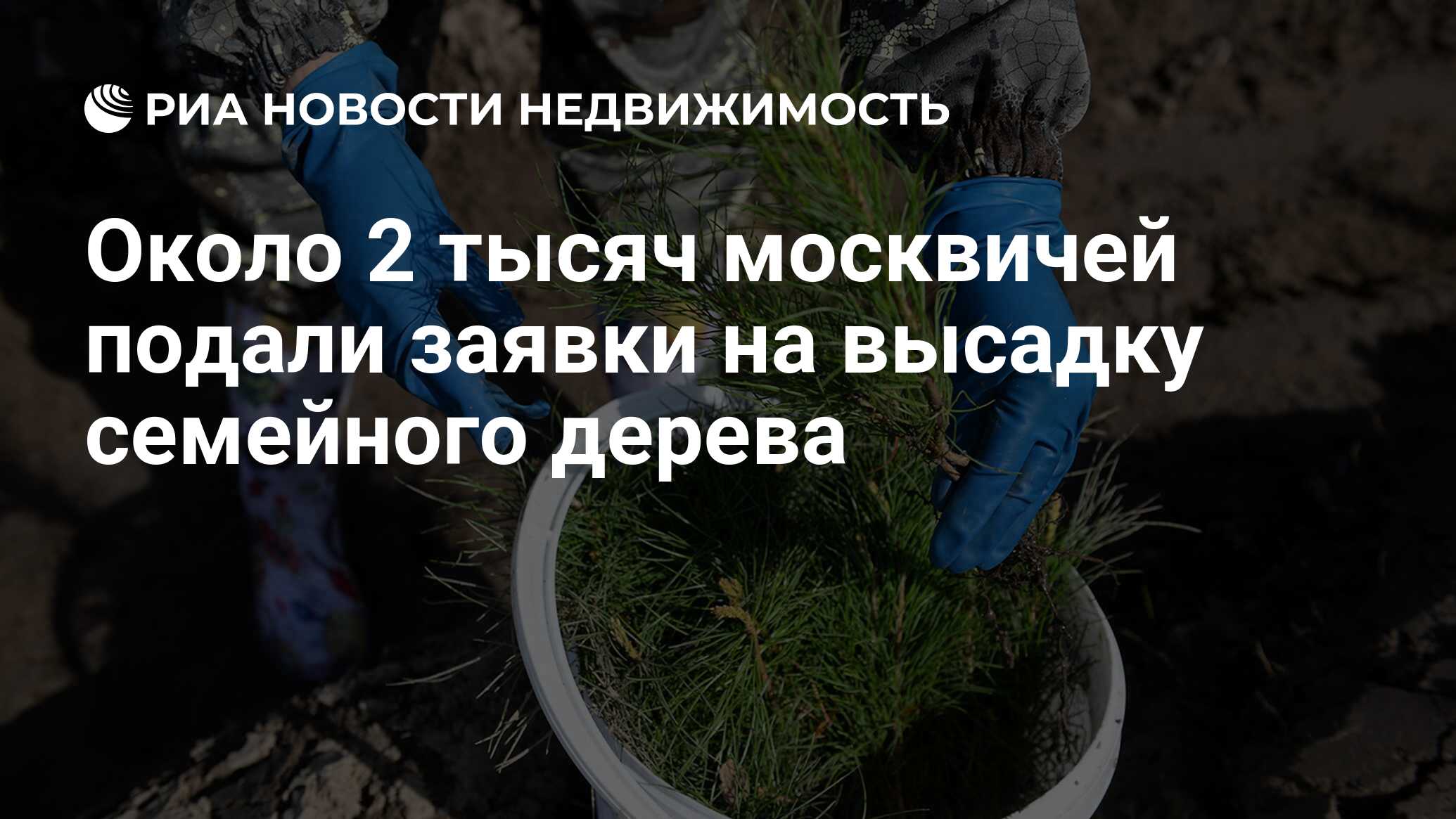 Около 2 тысяч москвичей подали заявки на высадку семейного дерева -  Недвижимость РИА Новости, 24.06.2019