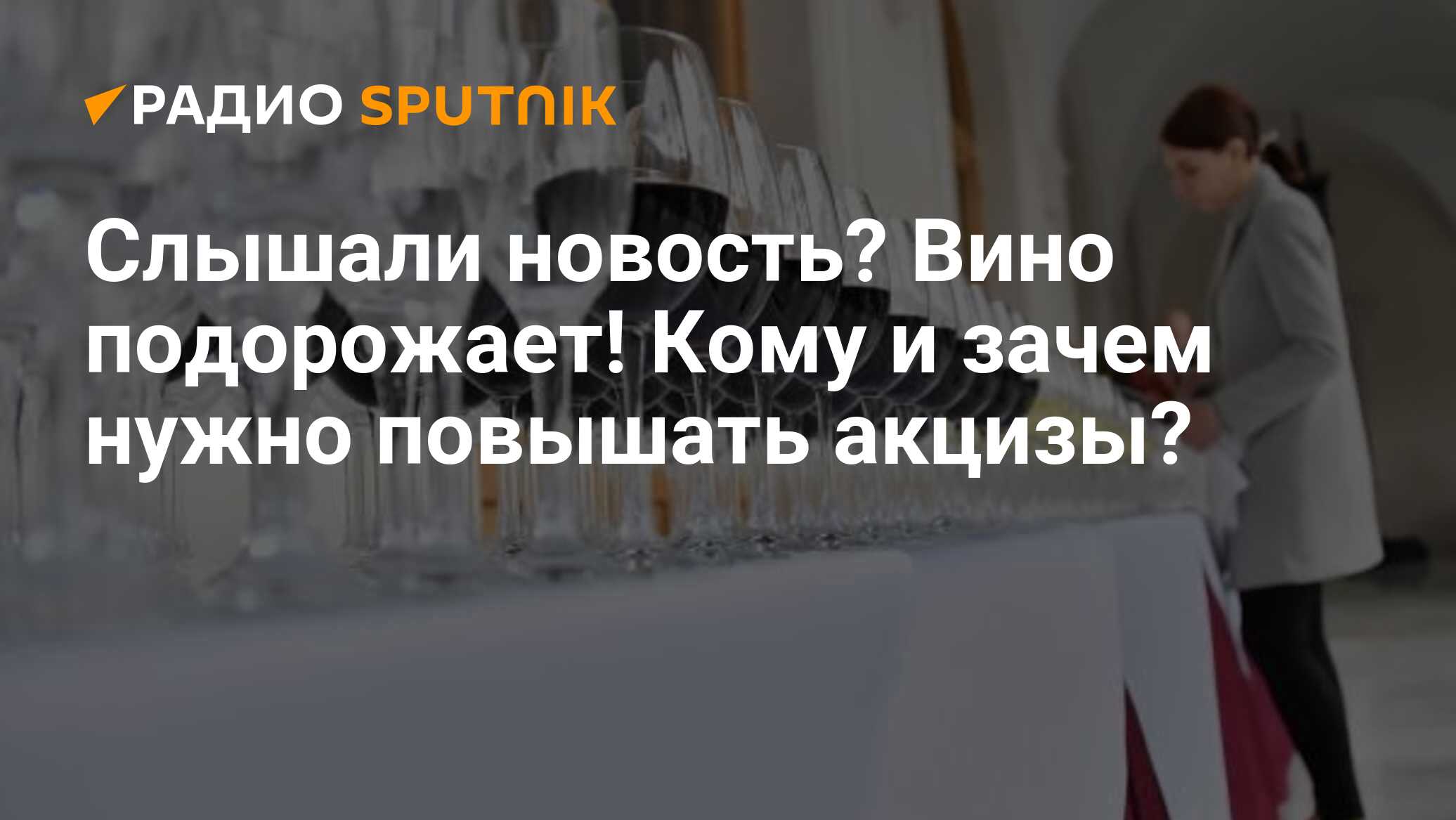 На сколько подорожает вино. Повышение акциза на вино. Винные ярмарки в России 2024. Акцизы на вино вырастут.