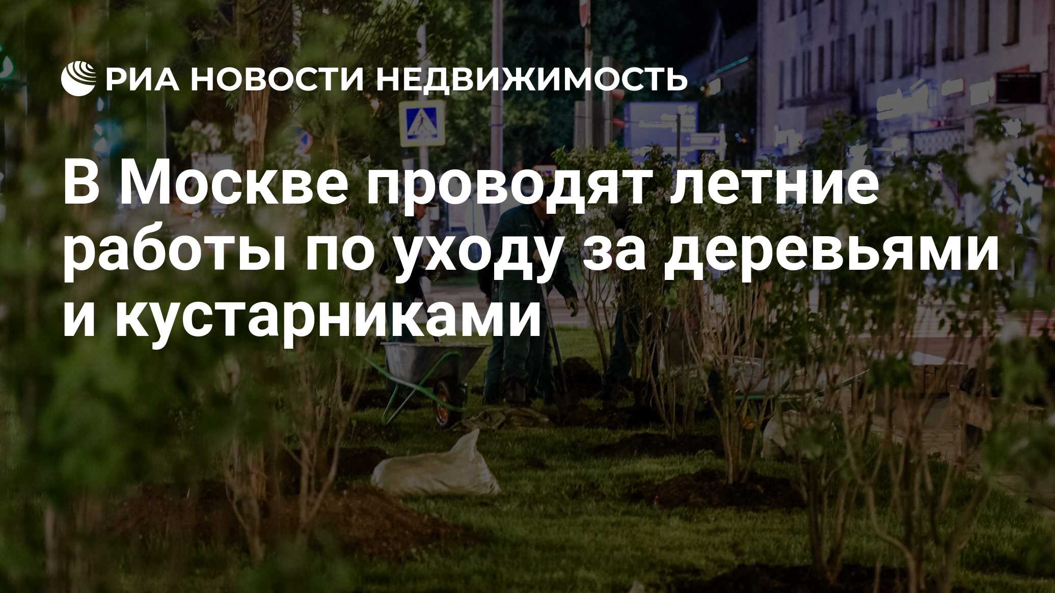 В Москве проводят летние работы по уходу за деревьями и кустарниками -  Недвижимость РИА Новости, 17.07.2019