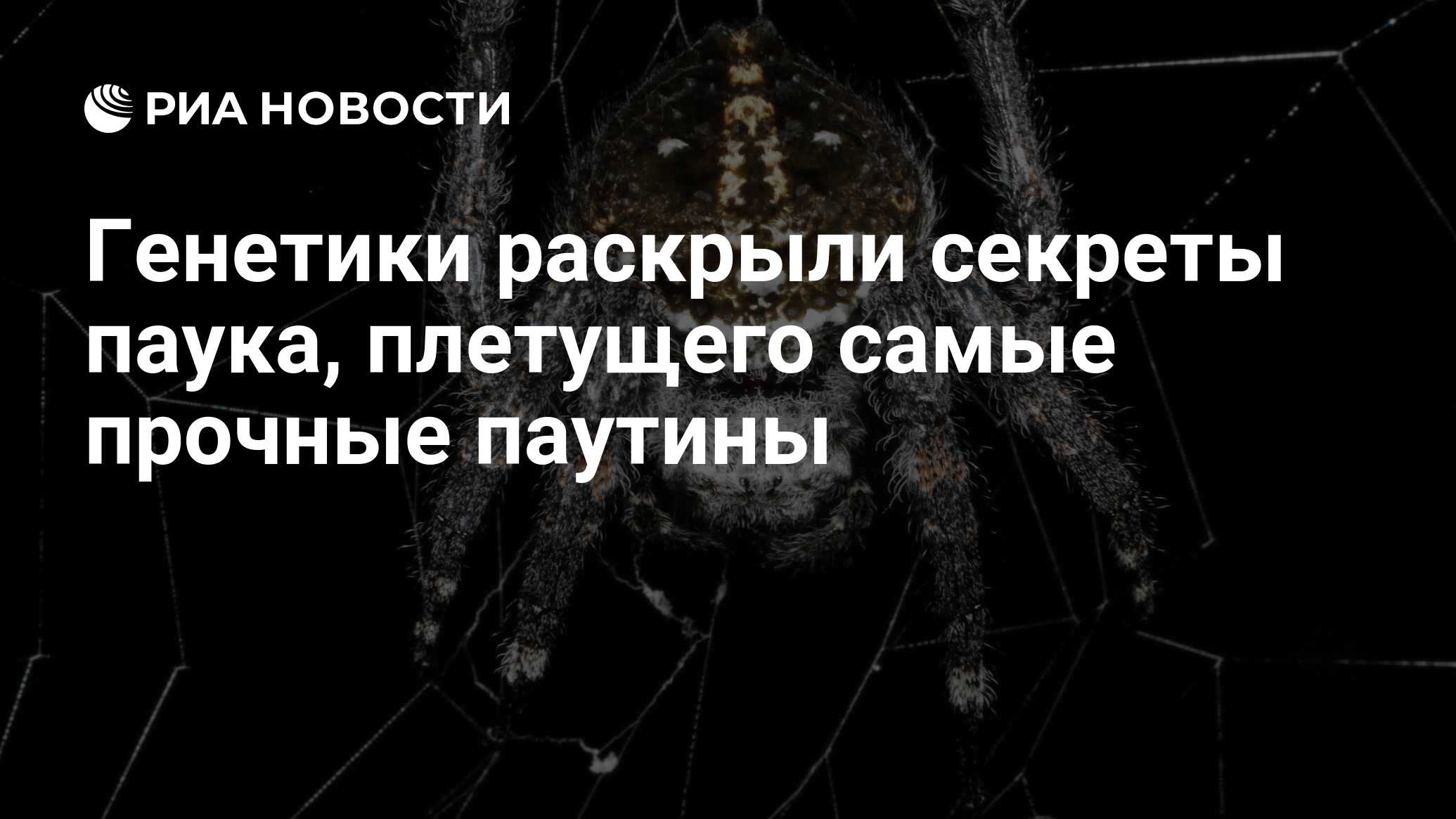 Генетики раскрыли секреты паука, плетущего самые прочные паутины - РИА  Новости, 25.07.2019