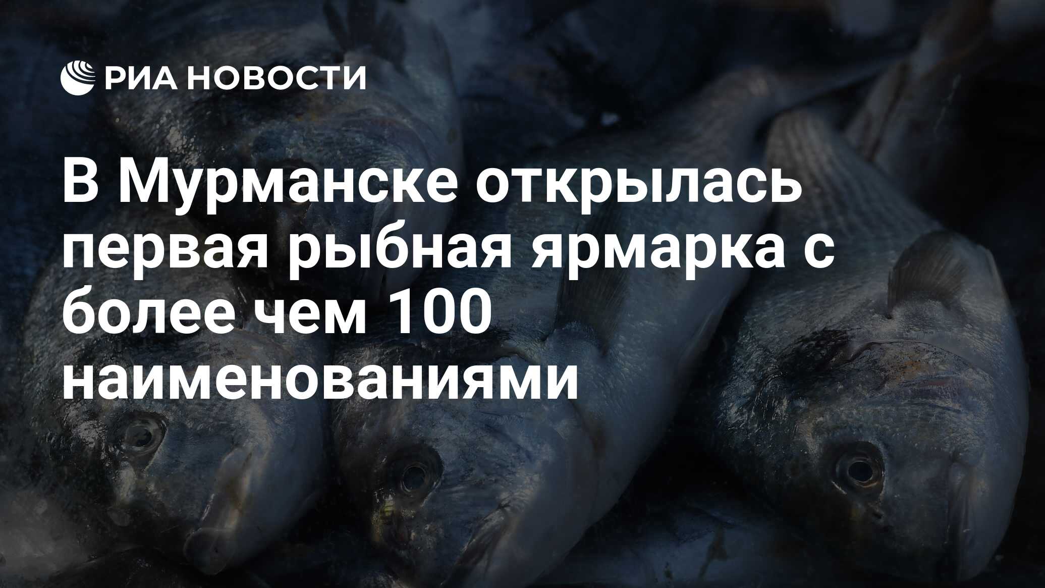 В Мурманске открылась первая рыбная ярмарка с более чем 100 ...