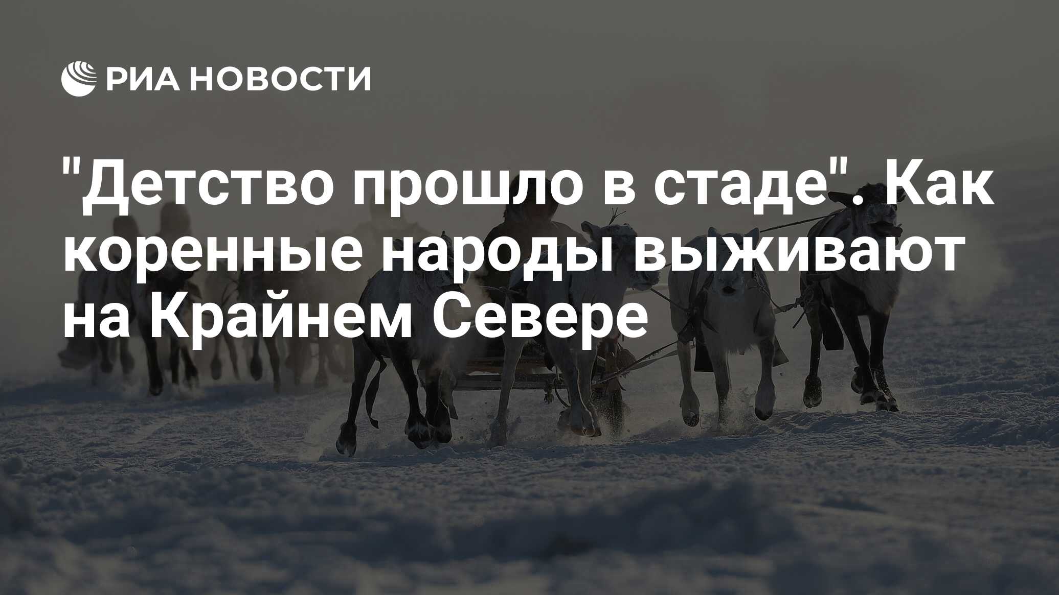 Детство прошло в стаде