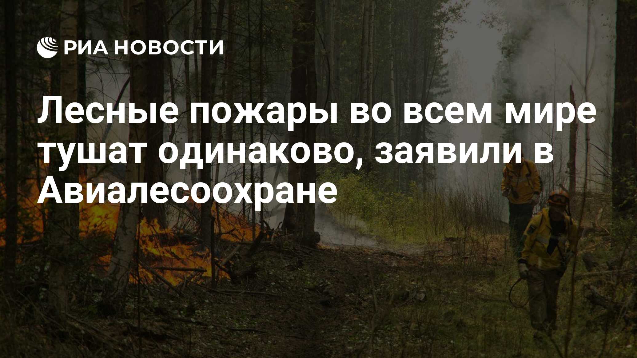 Лесные пожары во всем мире тушат одинаково, заявили в Авиалесоохране - РИА  Новости, 03.03.2020