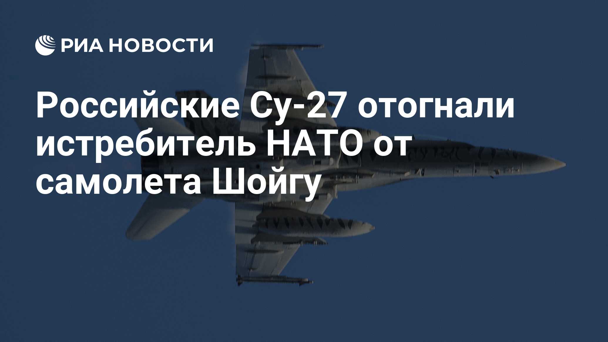 Российские Су-27 отогнали истребитель НАТО от самолета Шойгу - РИА Новости,  03.03.2020