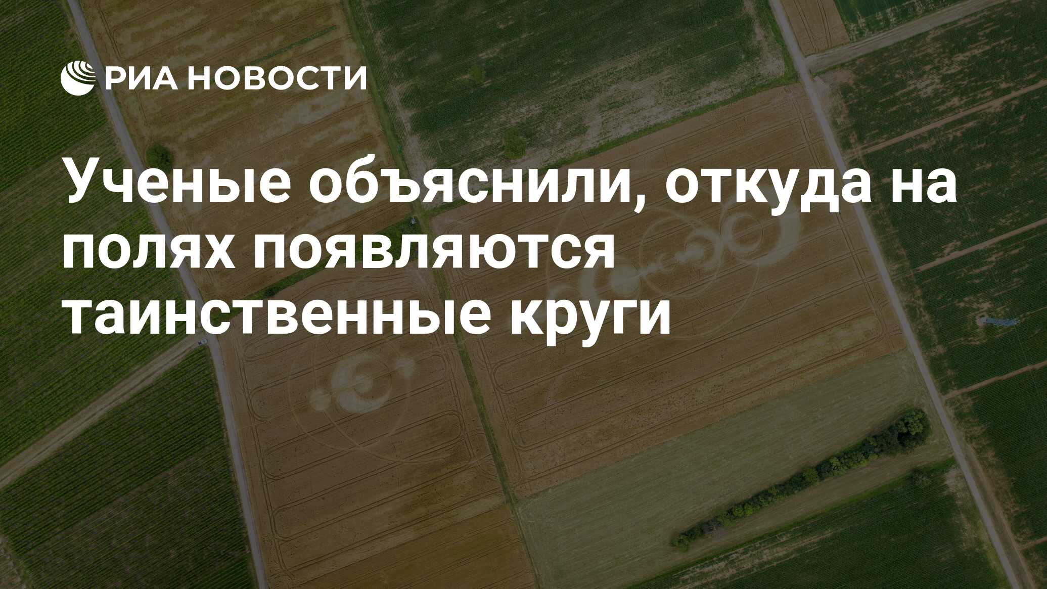 Ученые объяснили, откуда на полях появляются таинственные круги - РИА  Новости, 19.08.2019