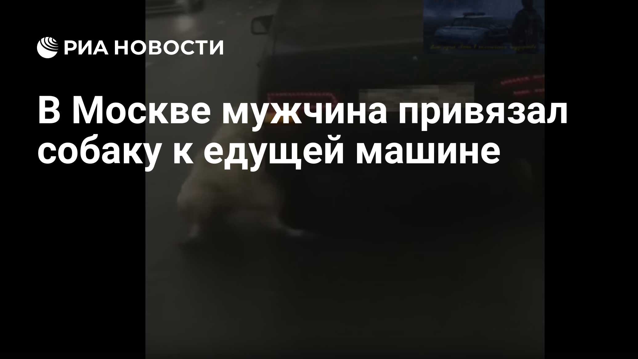 В Москве мужчина привязал собаку к едущей машине - РИА Новости, 18.08.2019