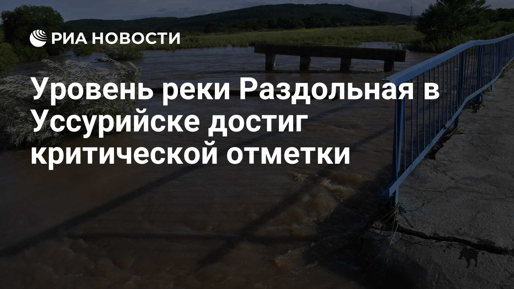 Уровень реки Раздольная в Уссурийске достиг критической отметки - РИА  Новости, 19.08.2019