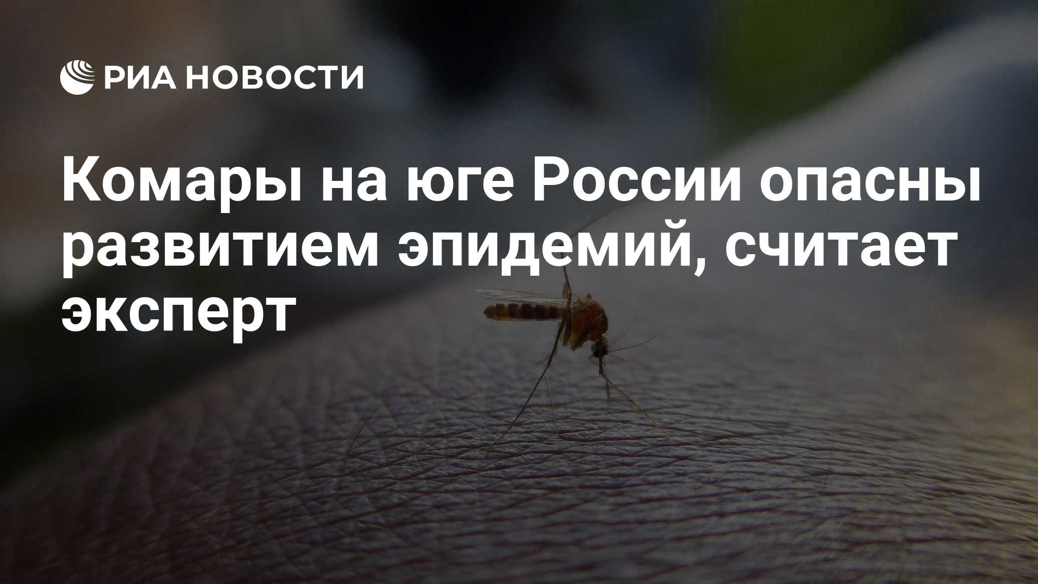 Комары на юге России опасны развитием эпидемий, считает эксперт - РИА  Новости, 03.03.2020