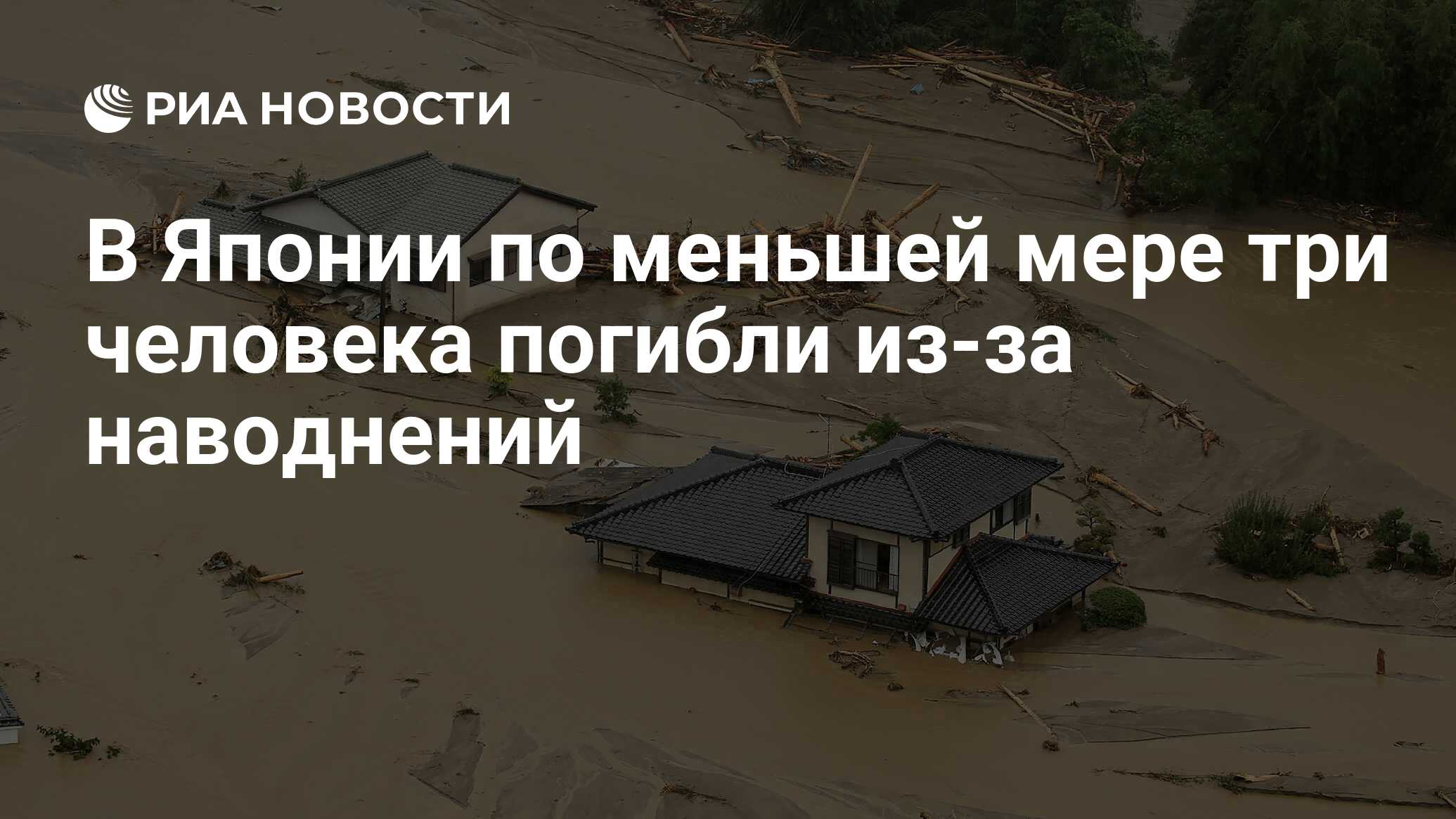 В Японии по меньшей мере три человека погибли из-за наводнений - РИА  Новости, 28.08.2019