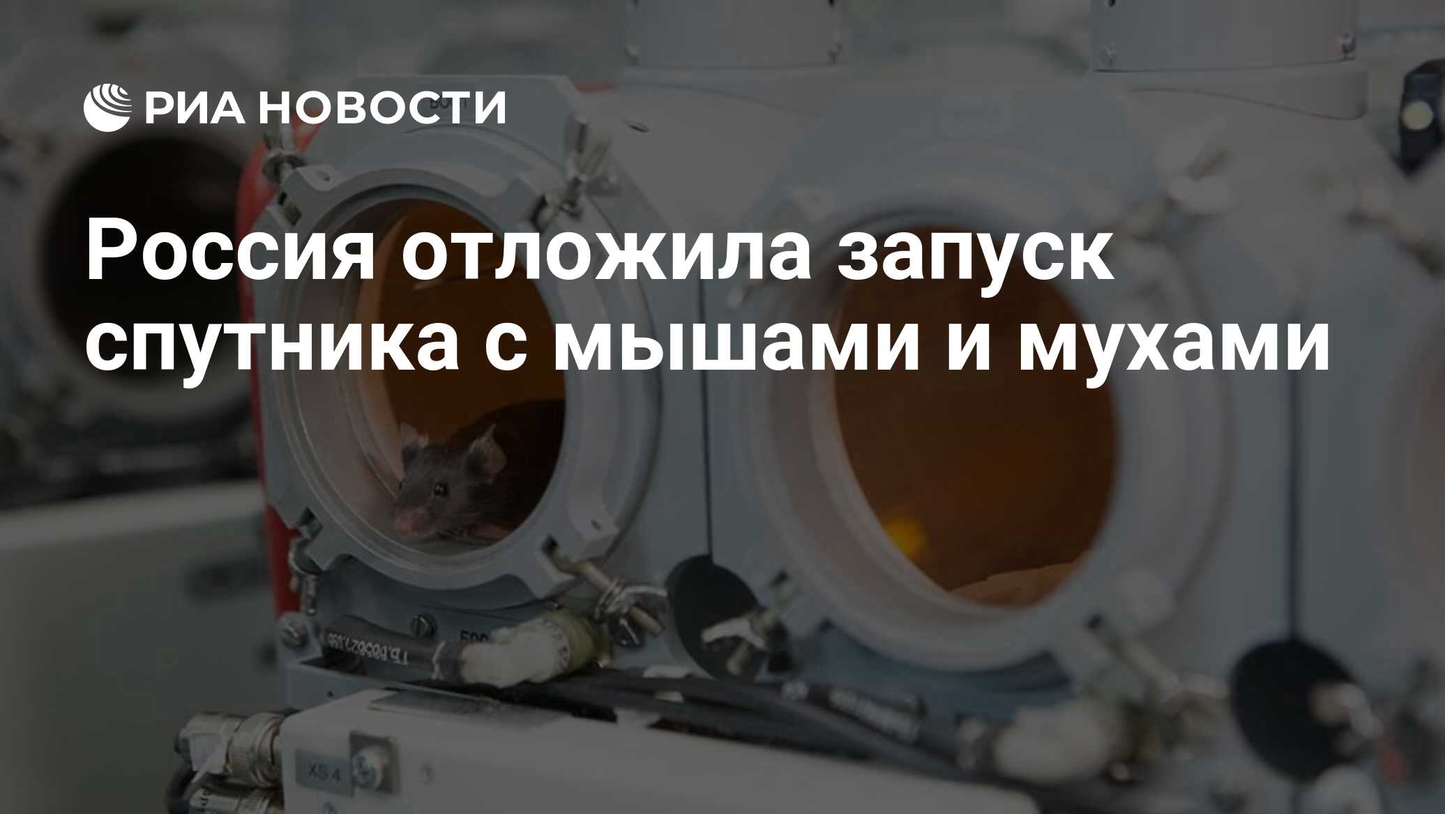 Почему отложили запуск