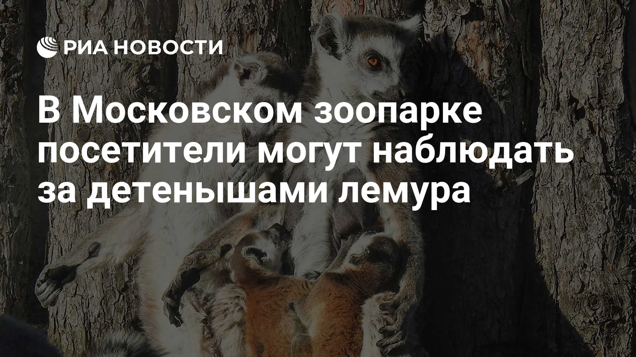 Информационные таблички в зоопарке. Уважаемые посетители зоопарка. Удмуртский зоопарк. Шутки про омон. Шутки про омоновцев.