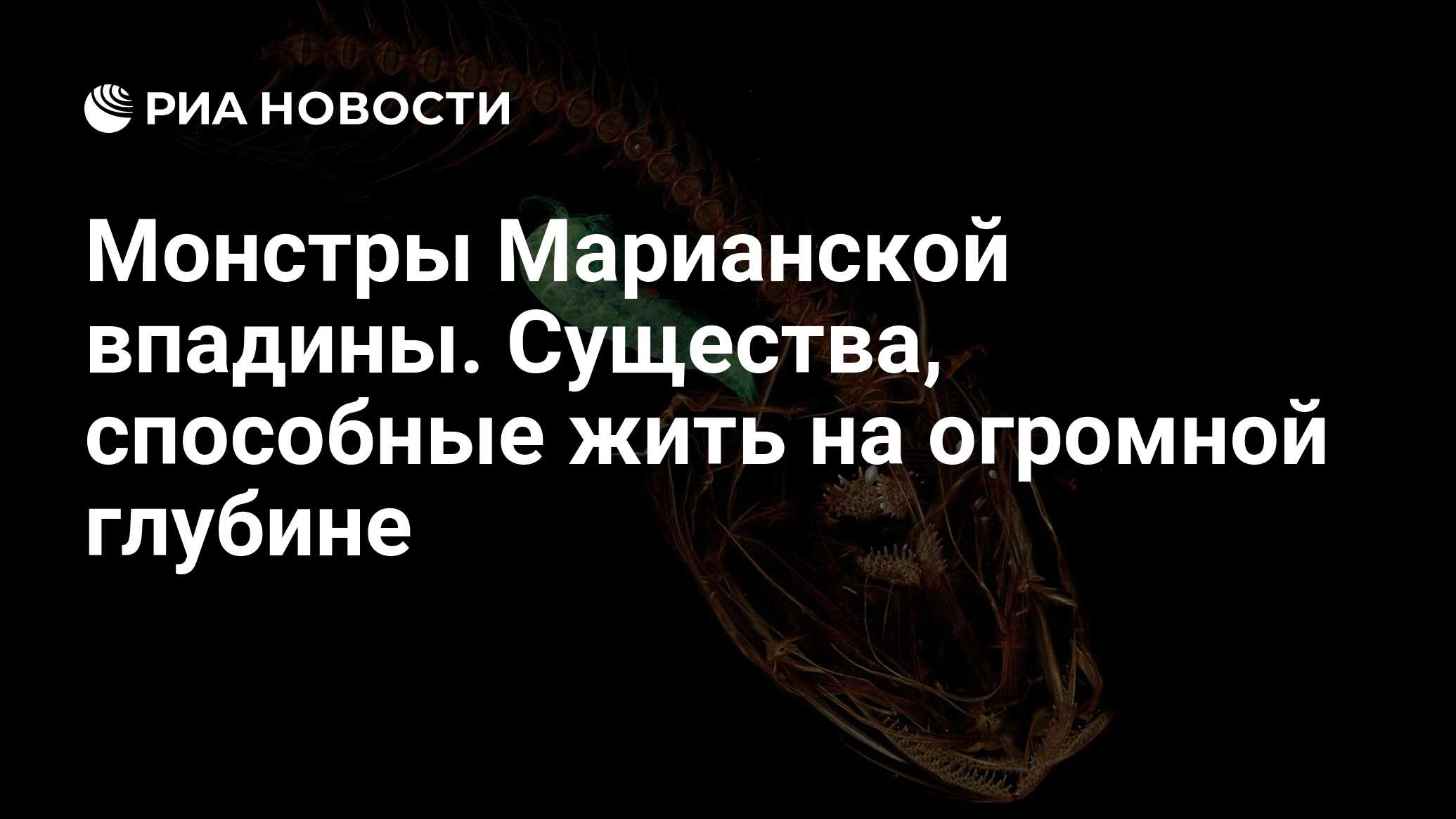 Монстры Марианской впадины. Существа, способные жить на огромной глубине -  РИА Новости, 22.09.2019