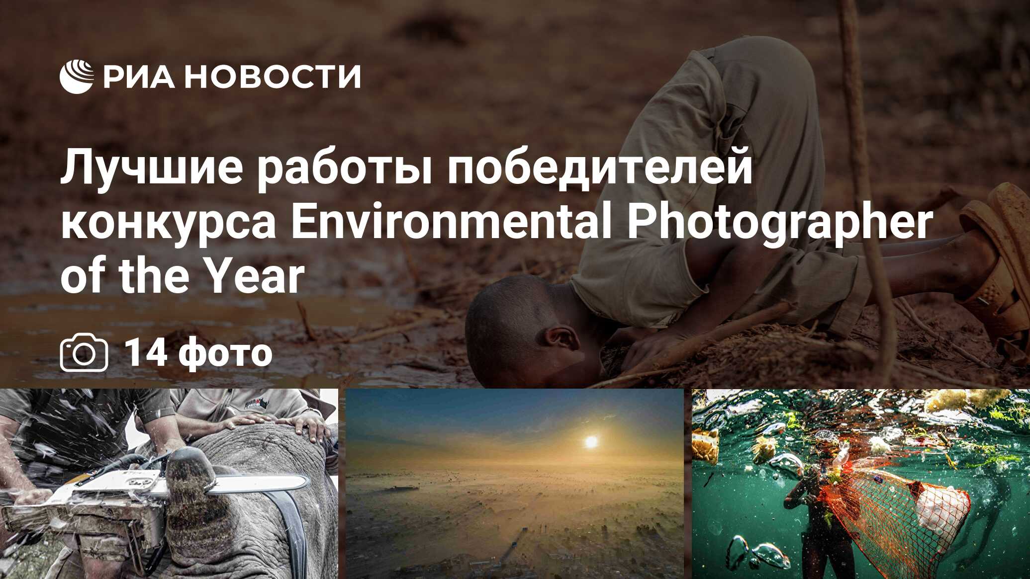 Лучшие работы победителей конкурса Environmental Photographer of the Year -  РИА Новости, 25.09.2019