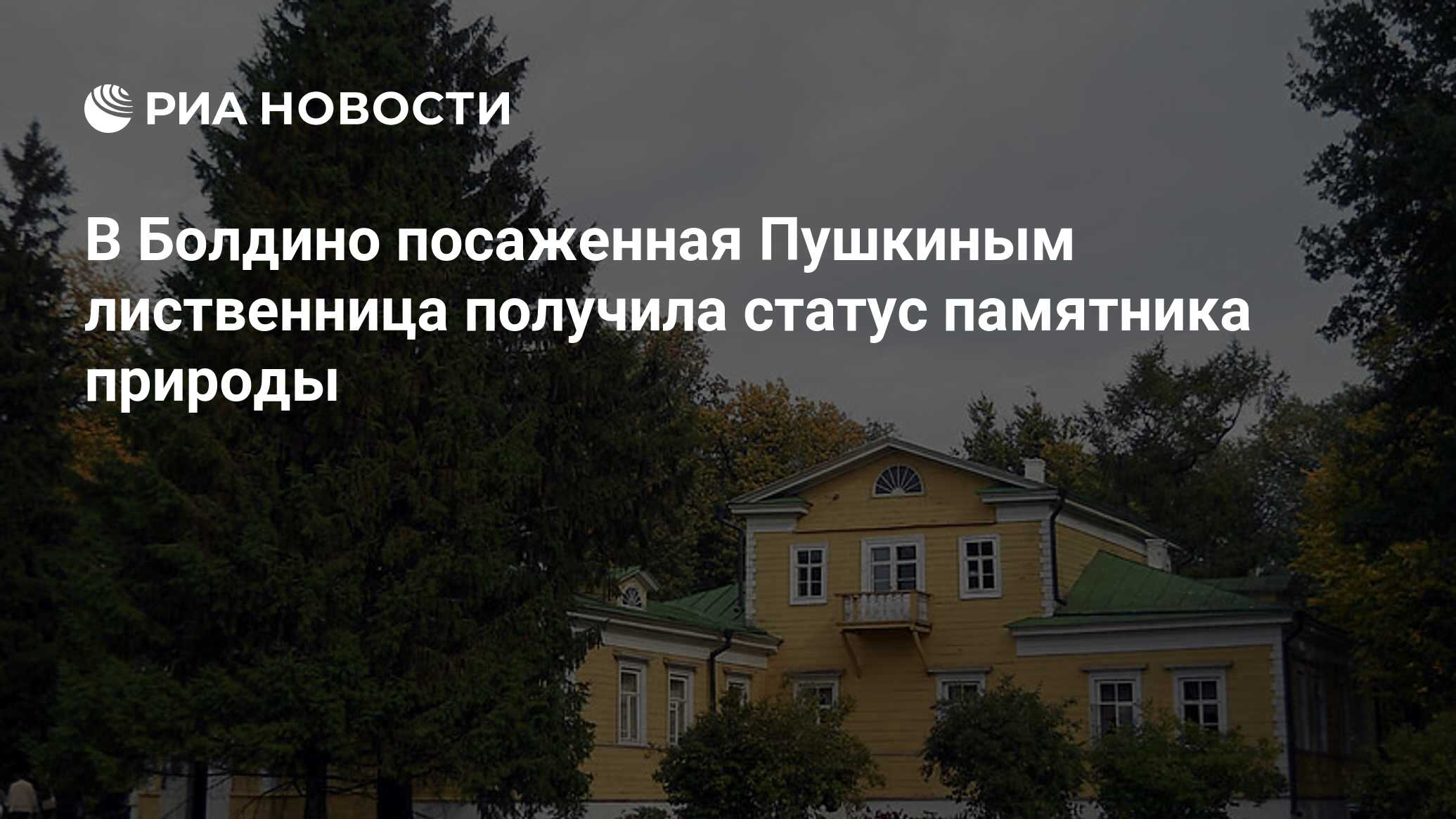 В Болдино посаженная Пушкиным лиственница получила статус памятника природы  - РИА Новости, 03.03.2020