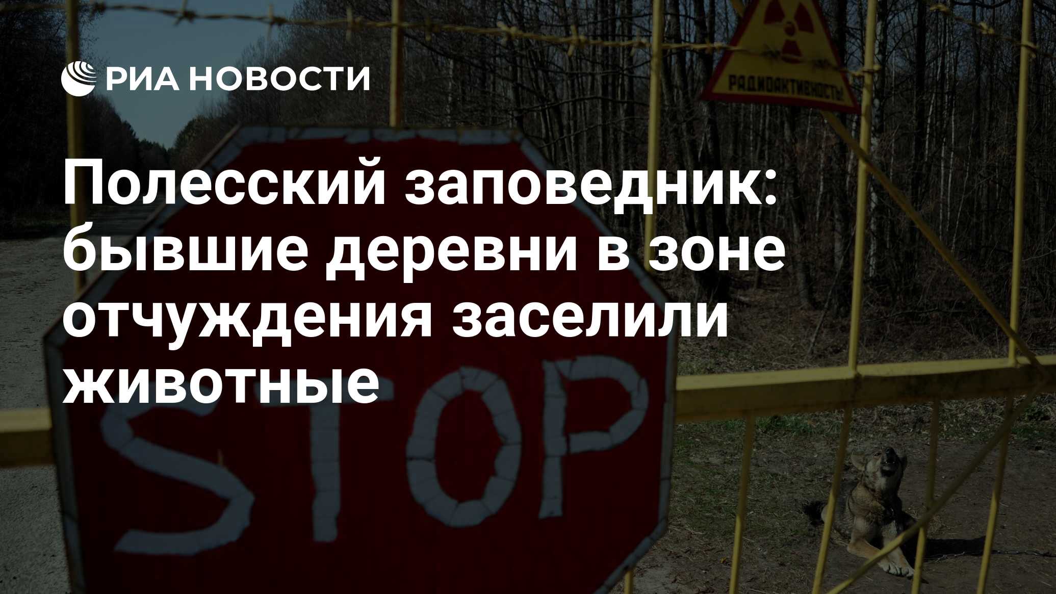 Полесский заповедник: бывшие деревни в зоне отчуждения заселили животные -  РИА Новости, 08.10.2019