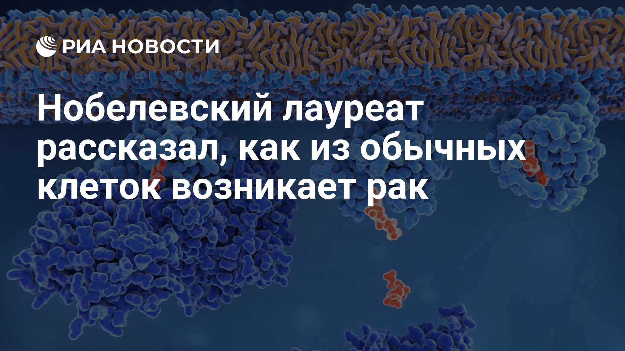 Воспроизводство клеток