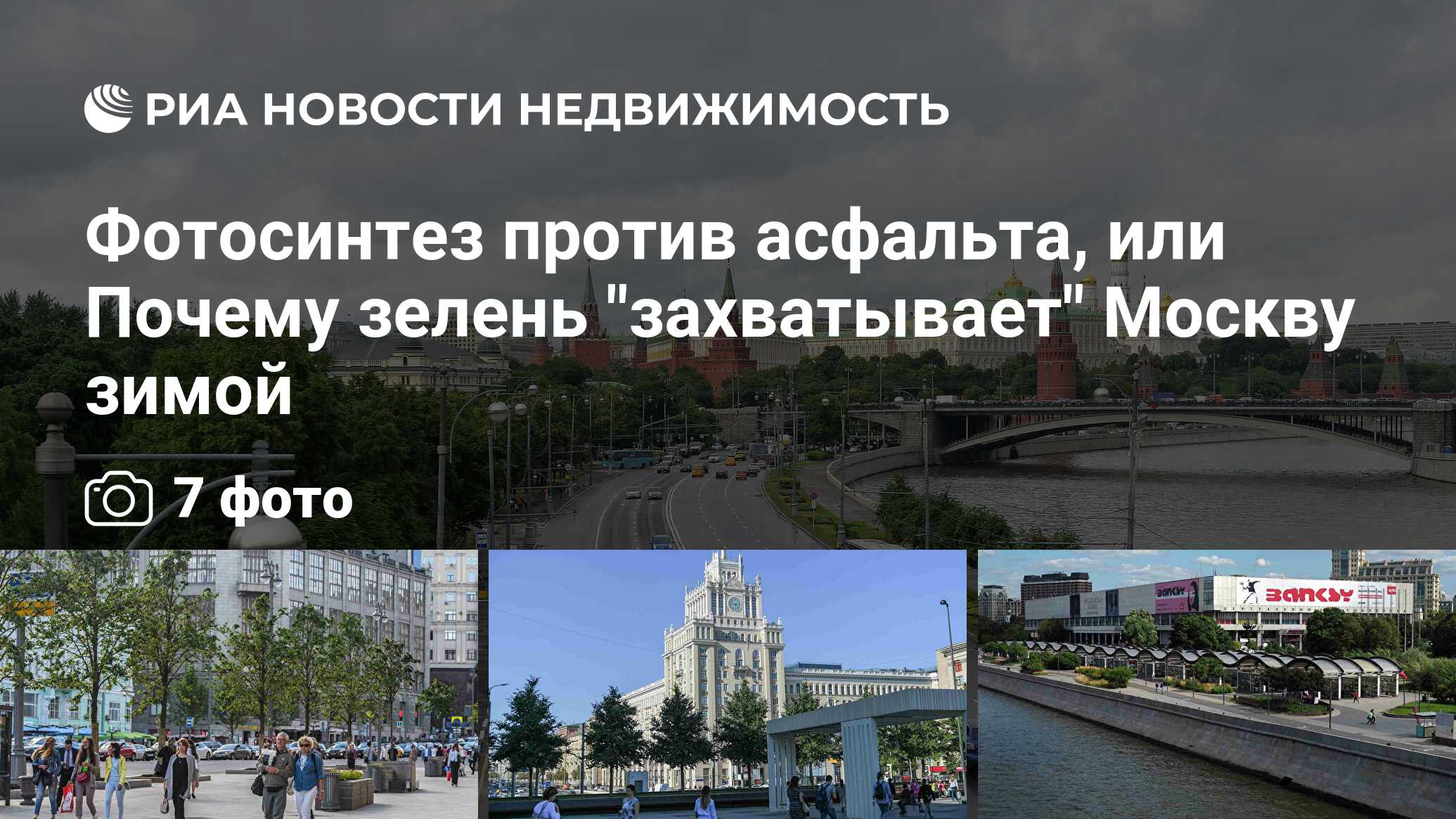 Фотосинтез против асфальта, или Почему зелень 