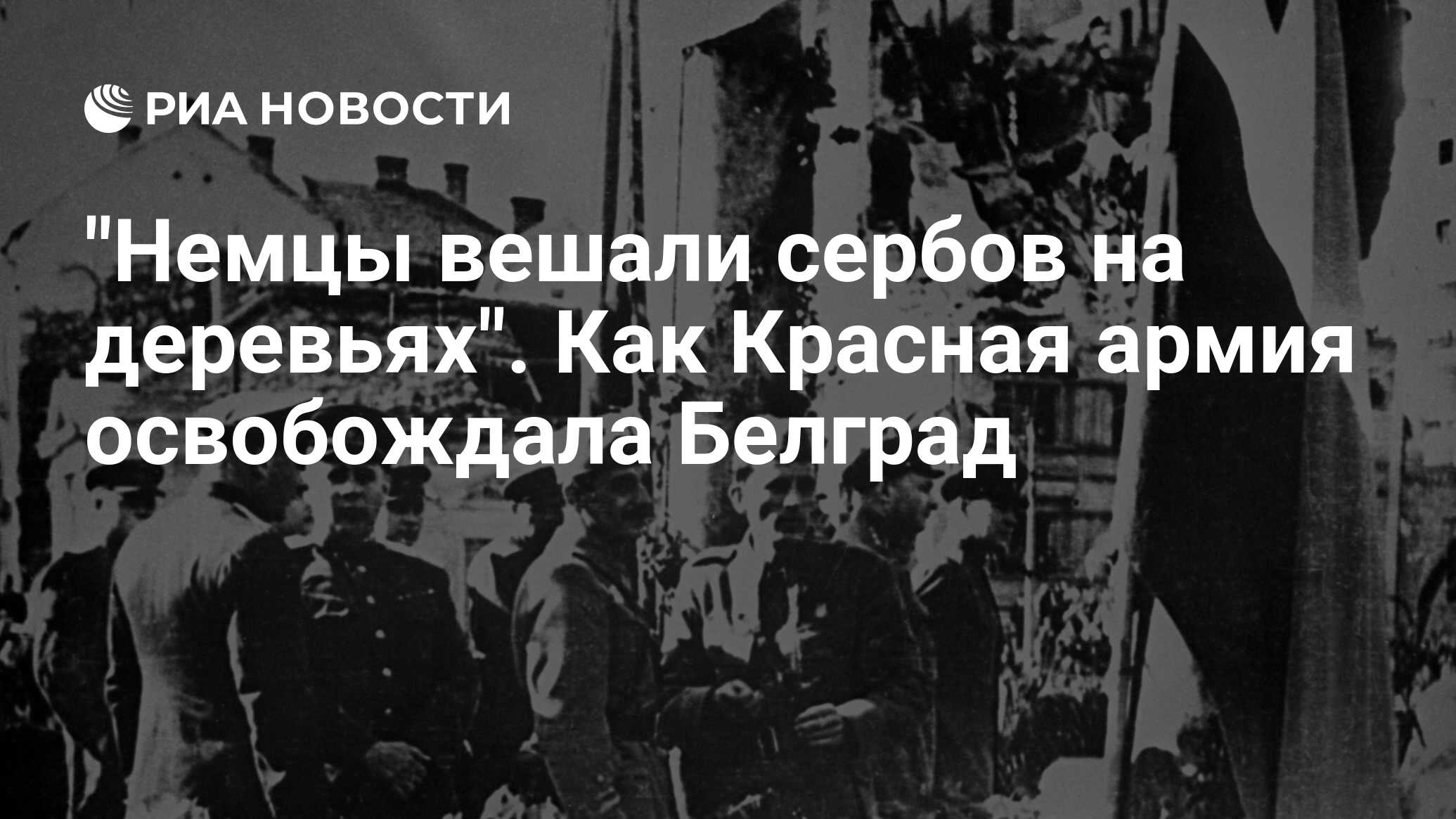 Немцы вешали сербов на деревьях