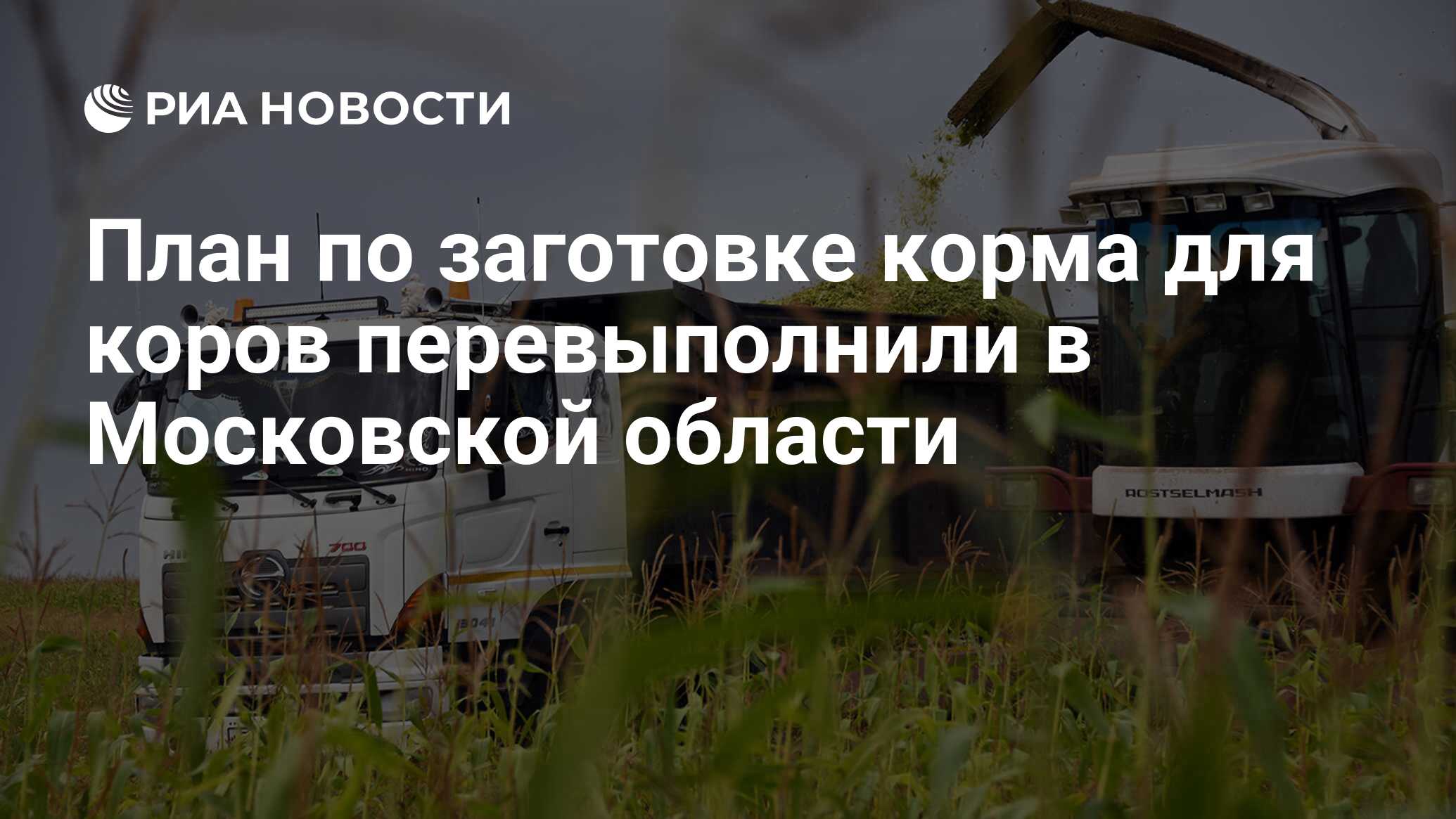 План по заготовке корма для коров перевыполнили в Московской области - РИА  Новости, 29.10.2019