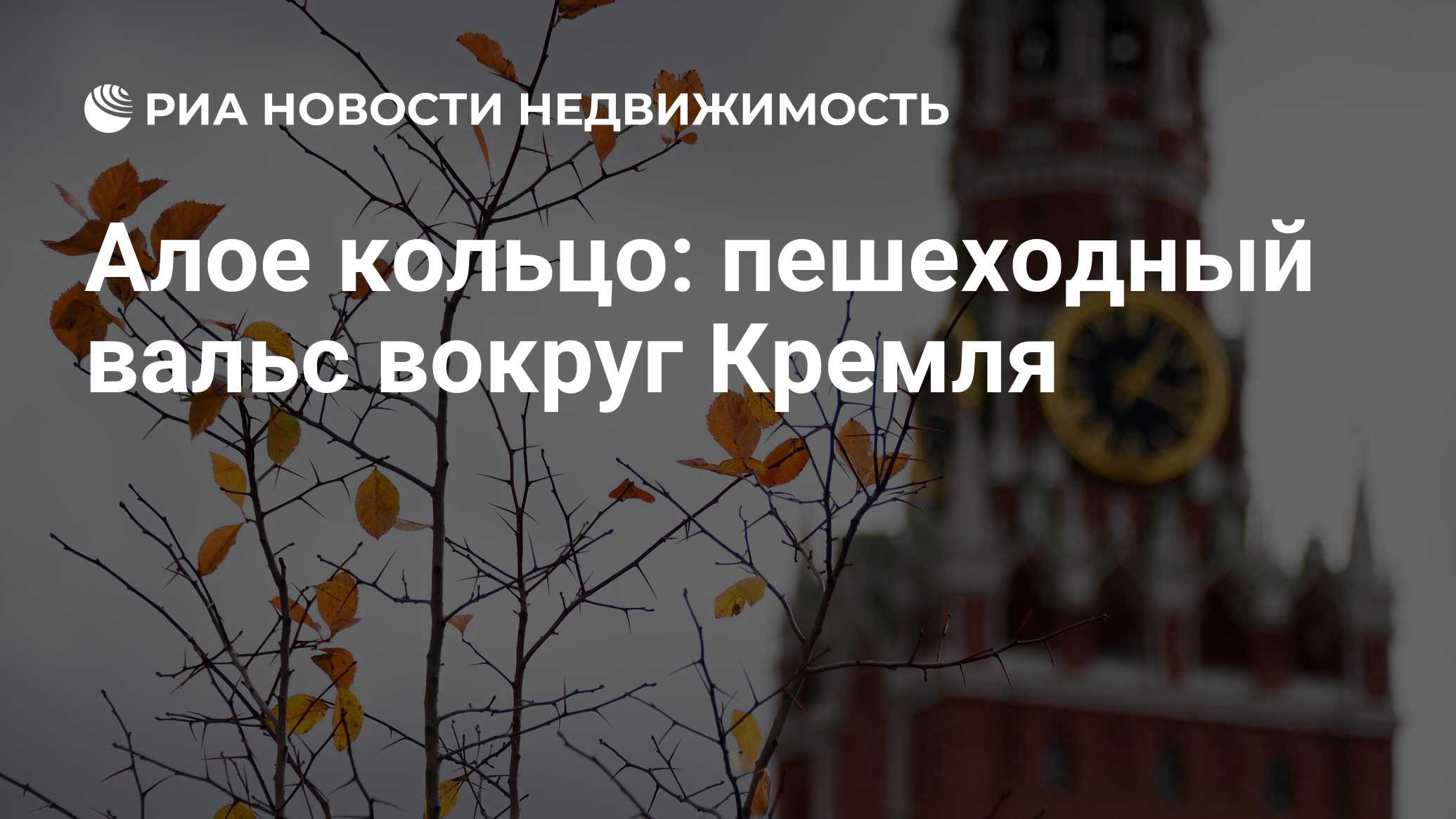 Алое кольцо: пешеходный вальс вокруг Кремля - Недвижимость РИА Новости,  31.10.2019