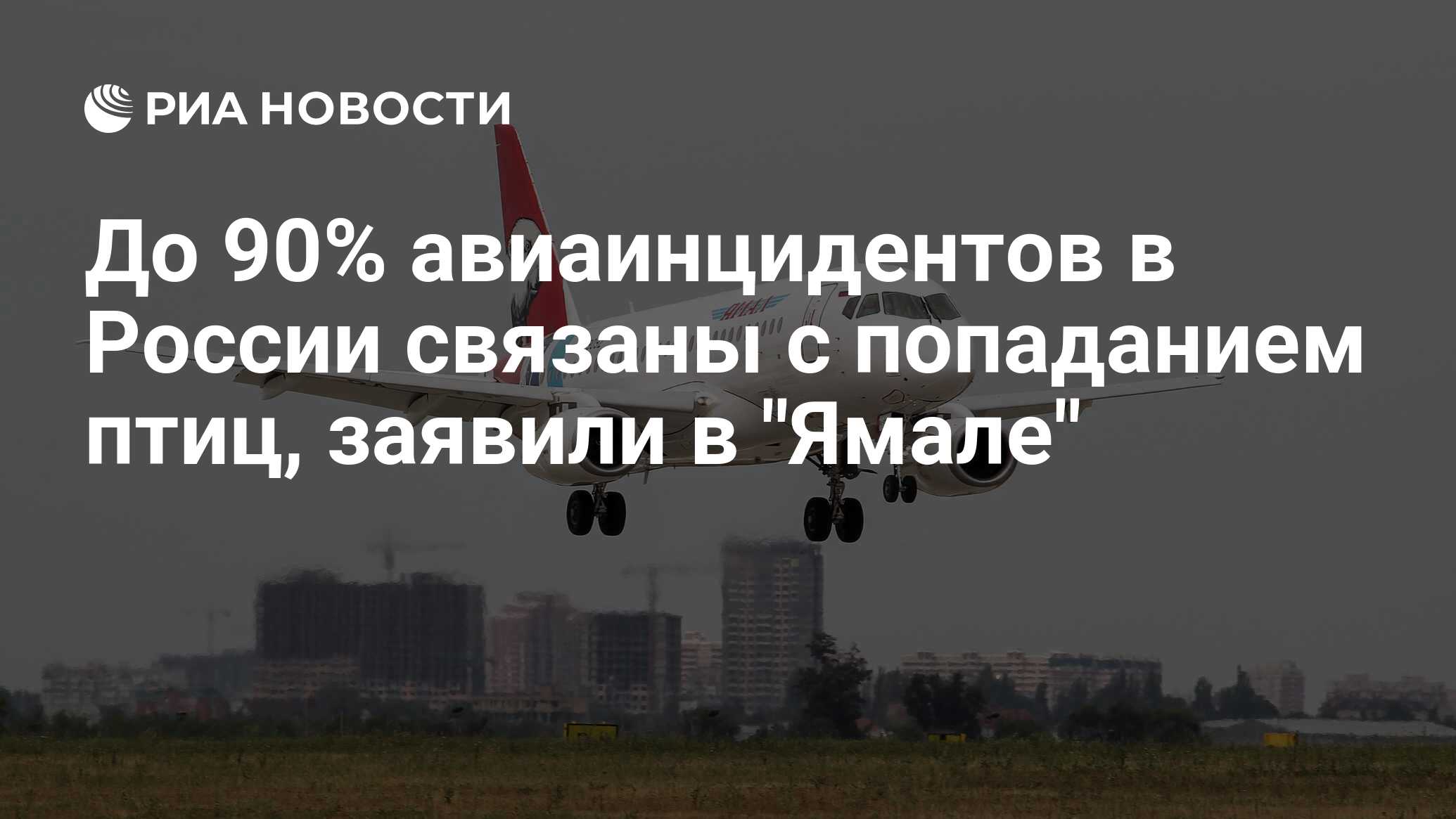 До 90% авиаинцидентов в России связаны с попаданием птиц, заявили в 