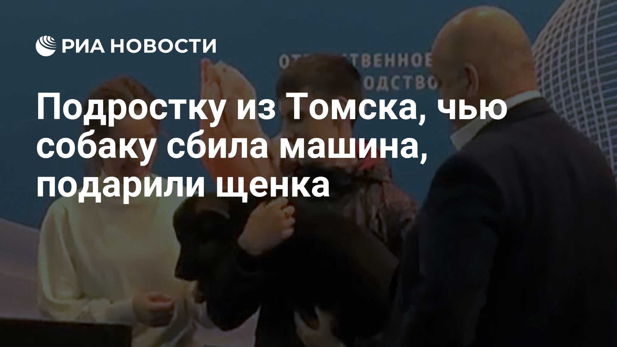 Подростку из Томска, чью собаку сбила машина, подарили щенка - РИА Новости,  03.03.2020