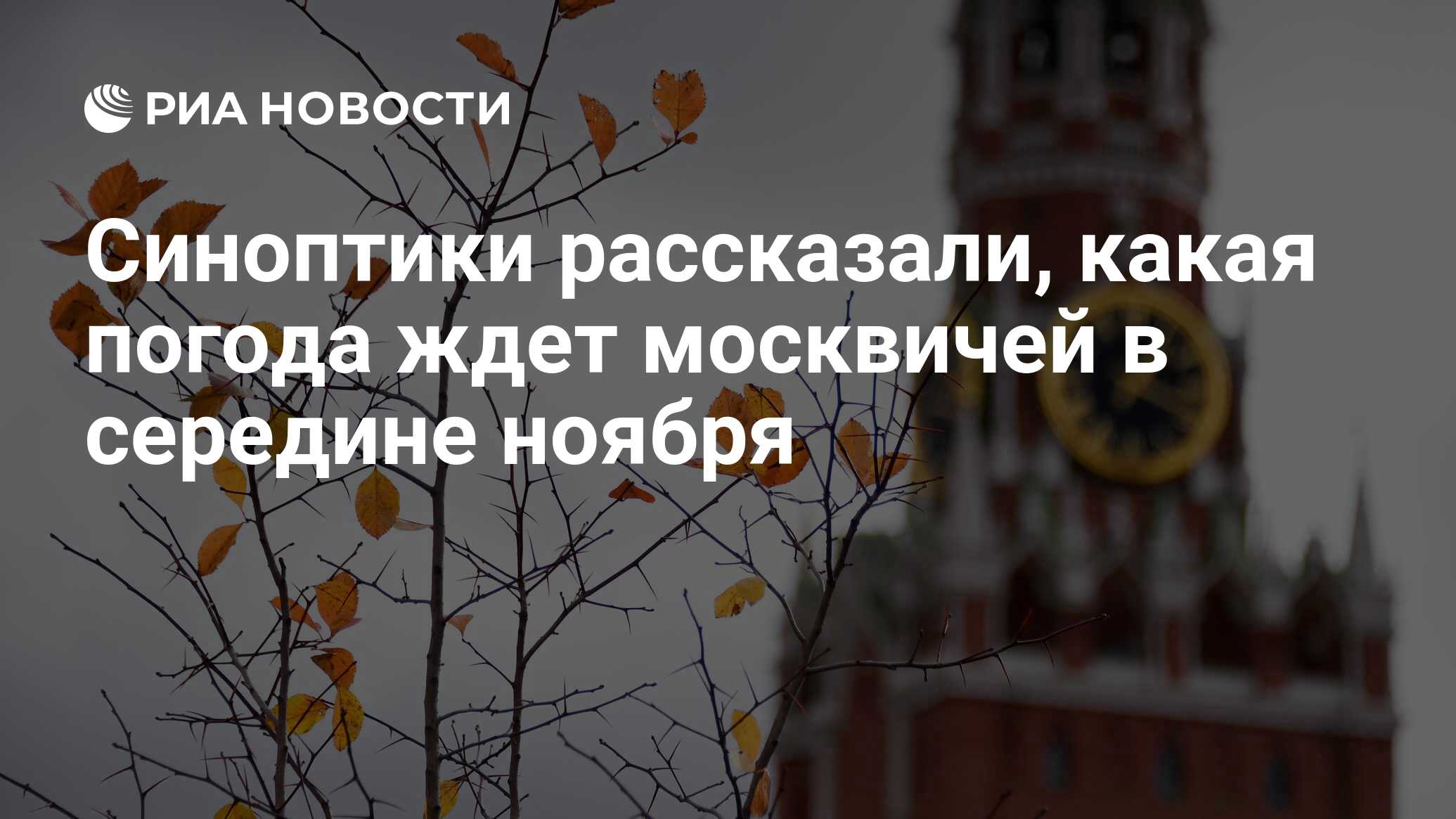 Вот и первый снег. Середина ноября. Холодный ноябрь. Картинка ноябрь природа. Природа в конце октября.