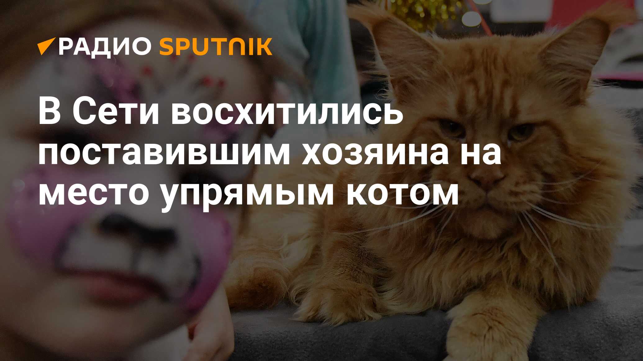 Установить хозяина. Упрямый кот. Как упрямого кота заставить активной жизни.