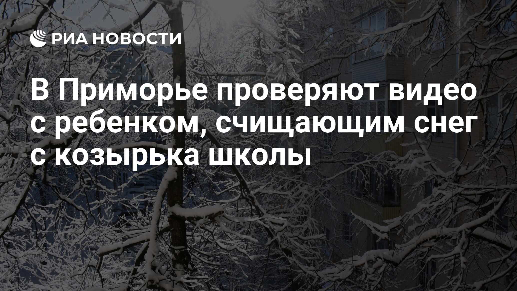 В Приморье проверяют видео с ребенком, счищающим снег с козырька школы -  РИА Новости, 25.11.2019