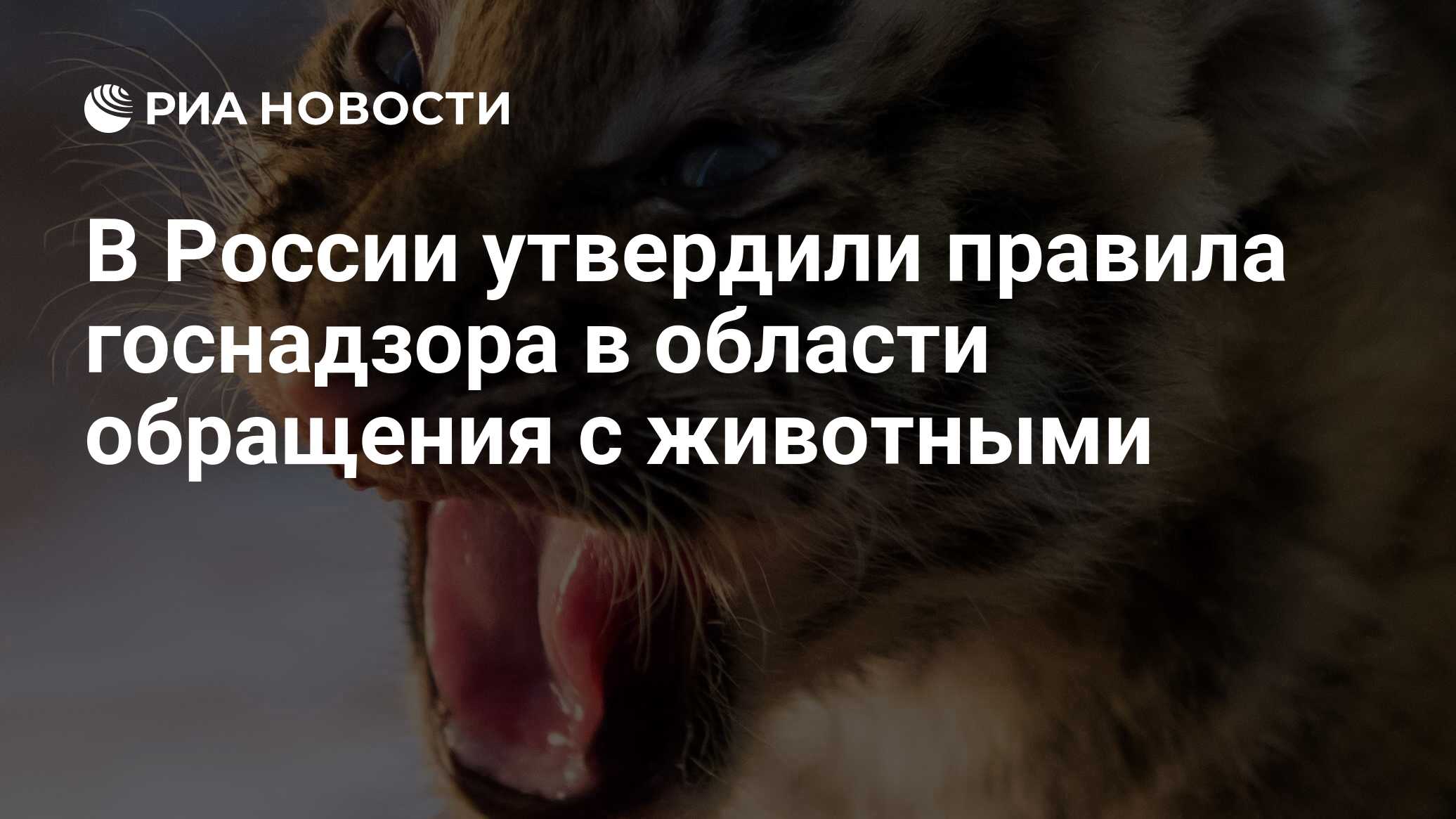 Модельный закон об обращении с животными