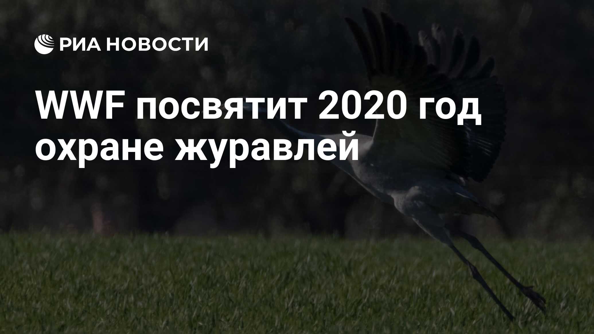 Посвящен 2020 год в россии