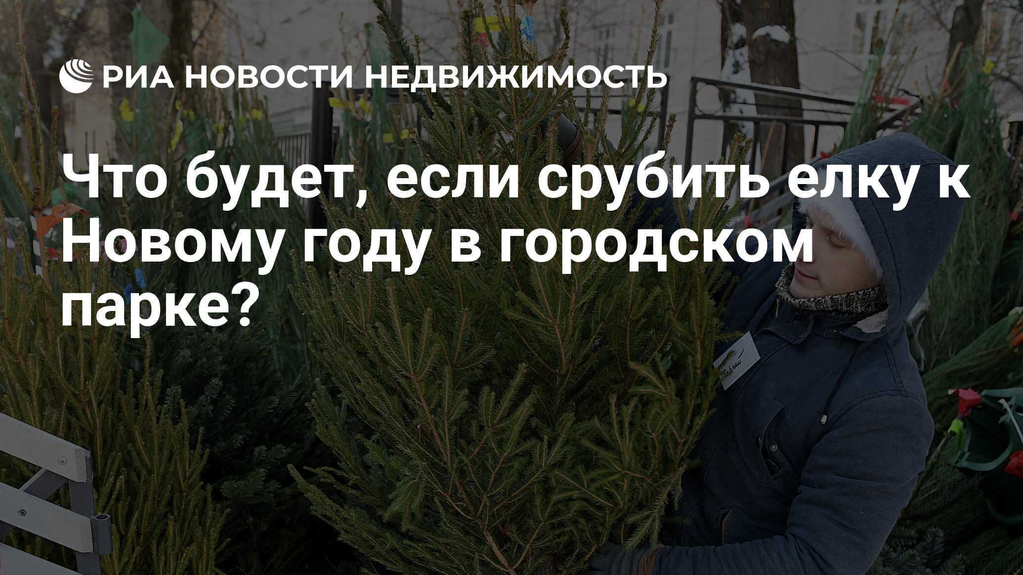 Что будет, если срубить елку к Новому году в городском парке? -  Недвижимость РИА Новости, 13.12.2019