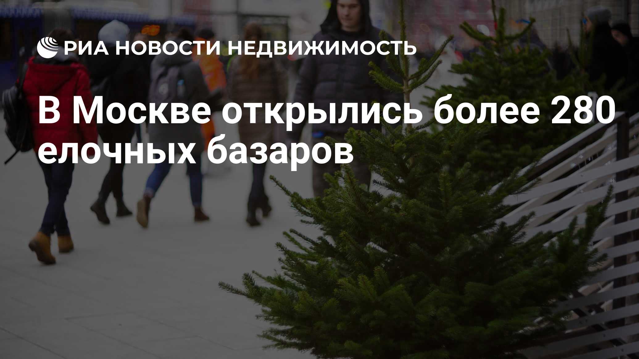 Когда откроются елочные базары в москве. Елочные базары в Москве 2021 на карте. Елочный базар в Москве режим работы. Елочные базары в Москве 2021 адреса. Елочный базар на Земляном валу.