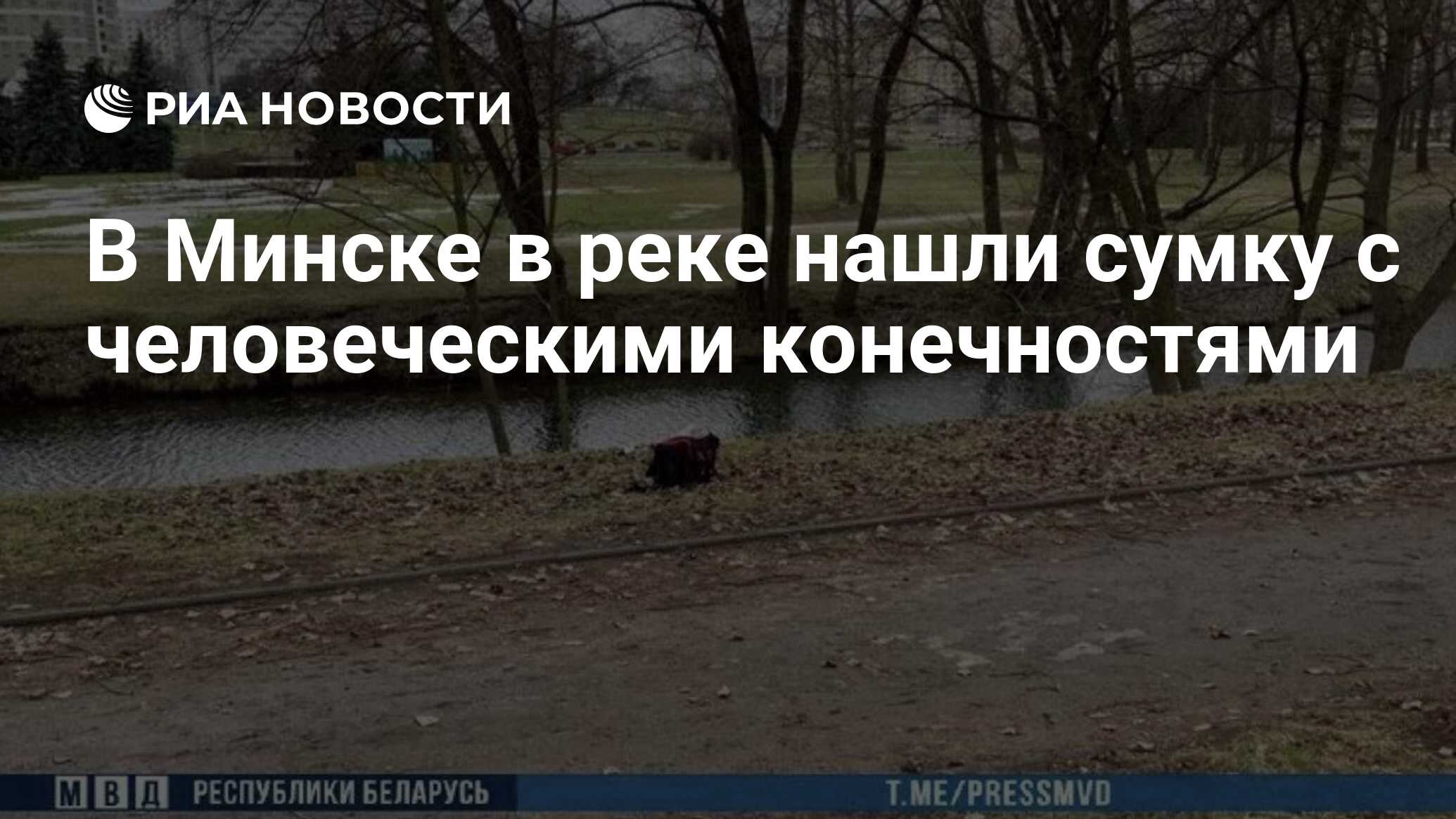 В Минске в реке нашли сумку с человеческими конечностями - РИА Новости,  03.01.2020