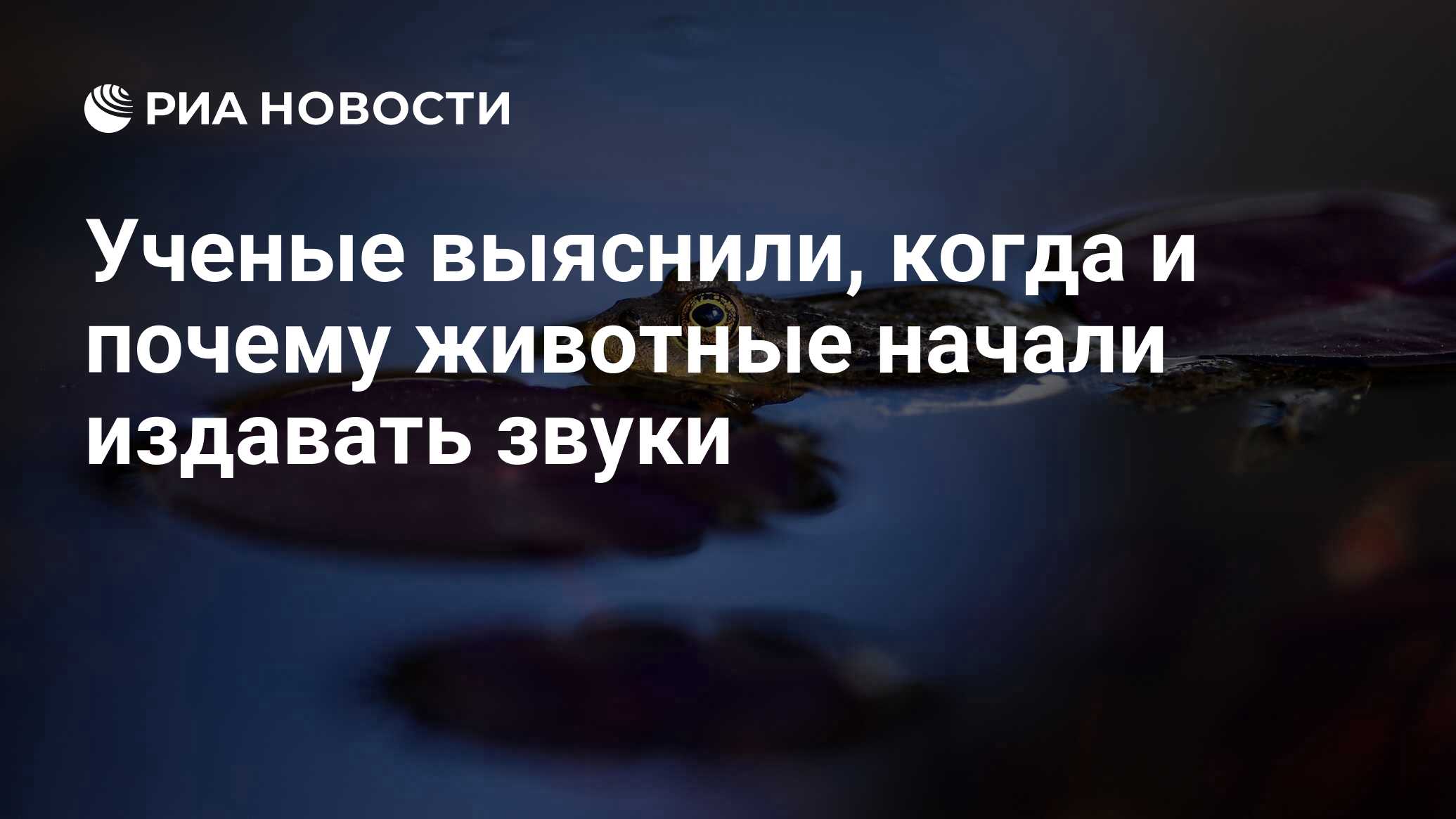 Ученые выяснили, когда и почему животные начали издавать звуки - РИА  Новости, 20.01.2020