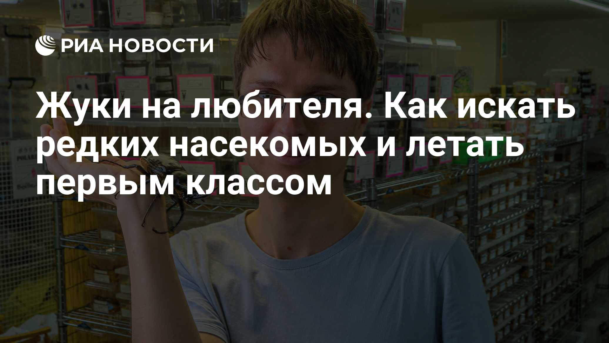 Жуки на любителя. Как искать редких насекомых и летать первым классом - РИА  Новости, 24.01.2020