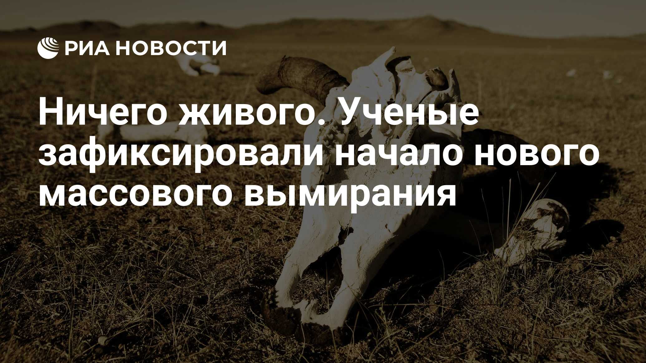 Живой ничто