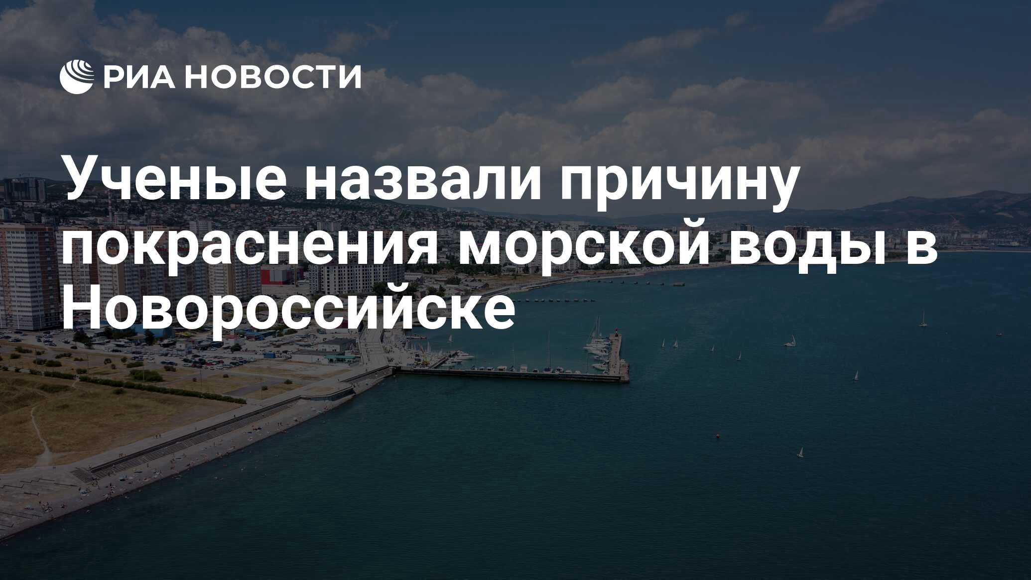 Вода в море новороссийск температура