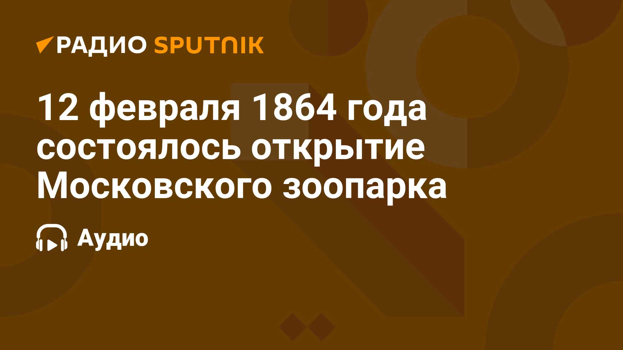 Когда в московский зоопарк радио принесло