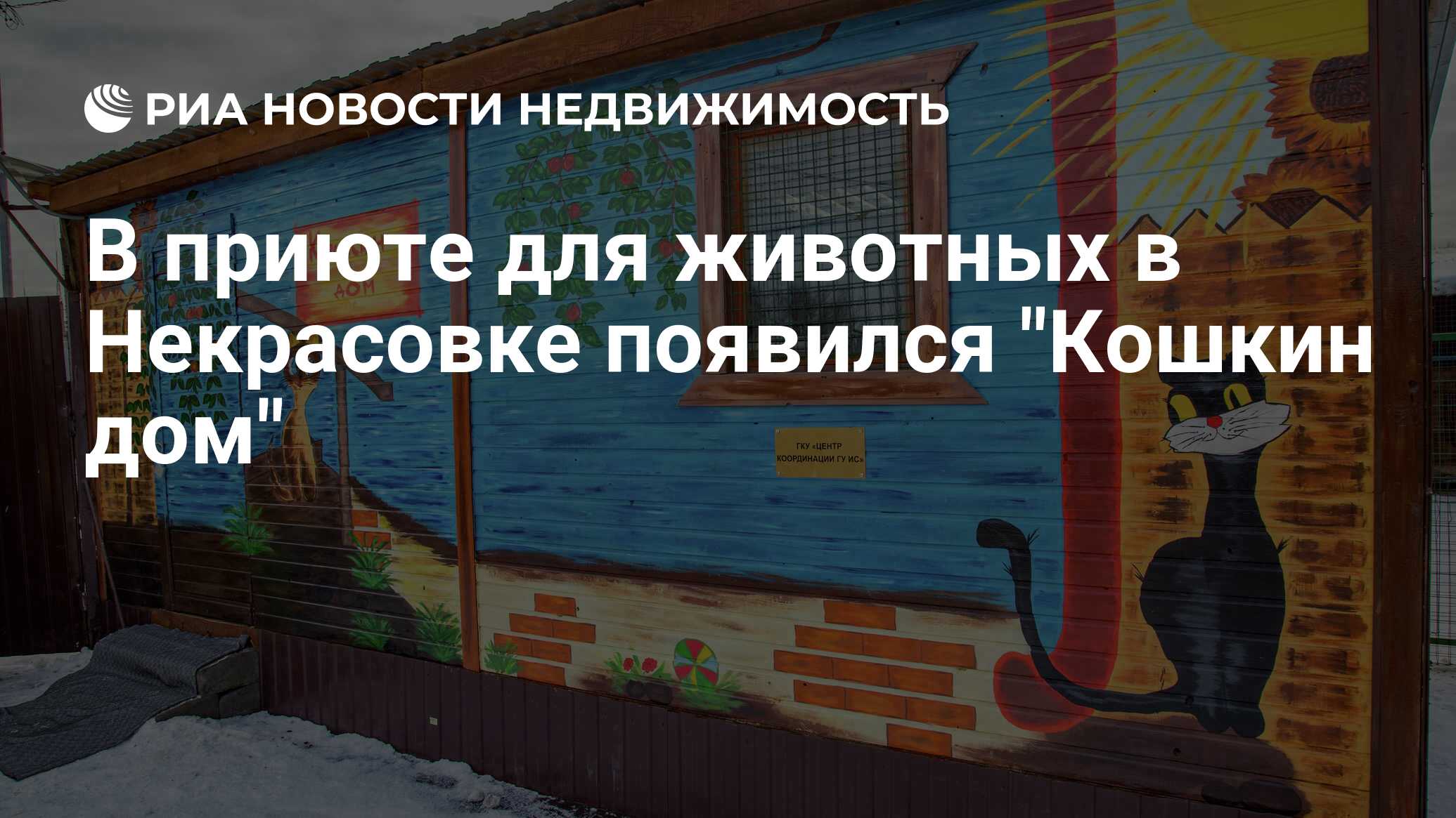 В приюте для животных в Некрасовке появился 