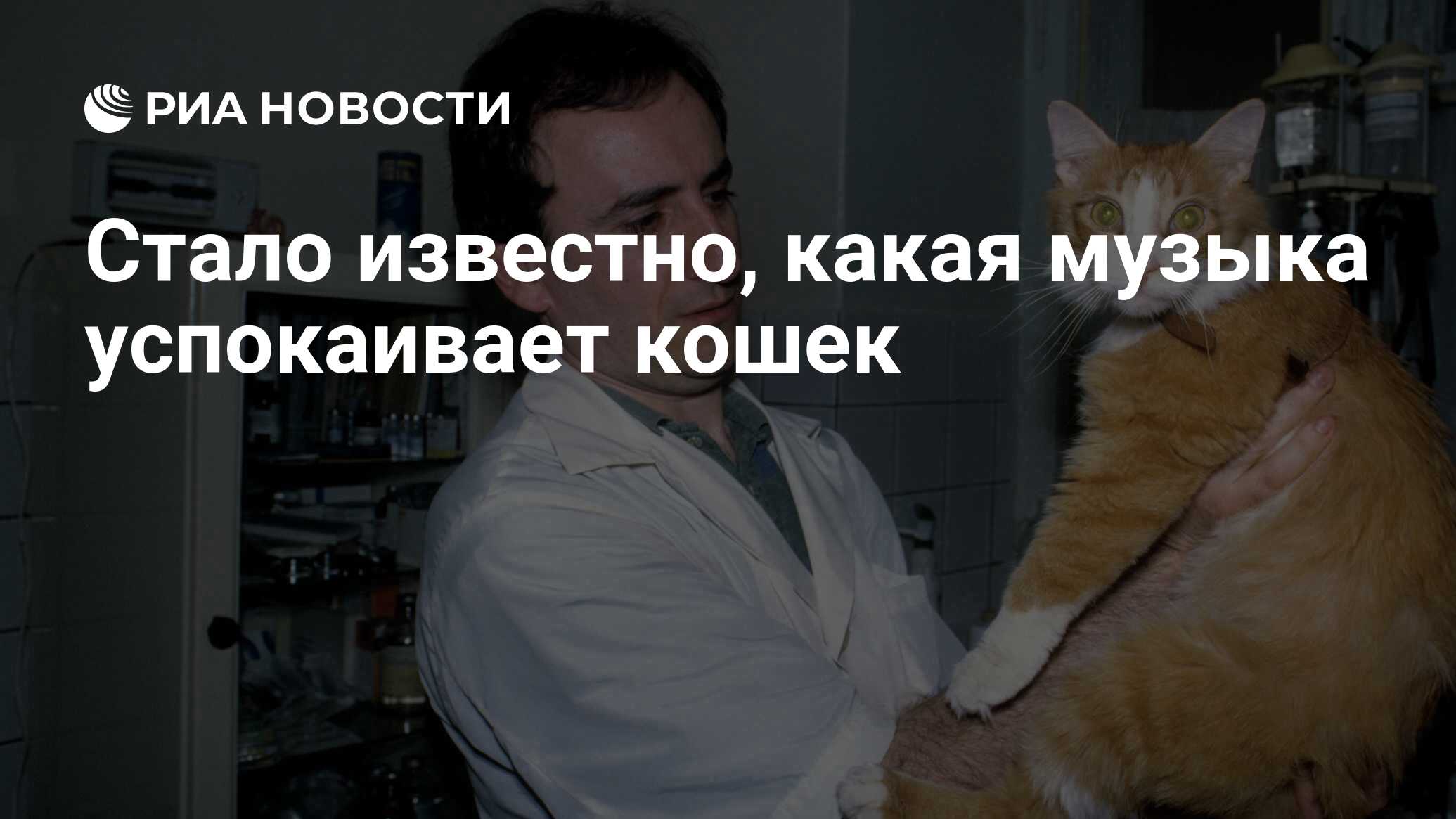 Успокаивающая музыка для кошек